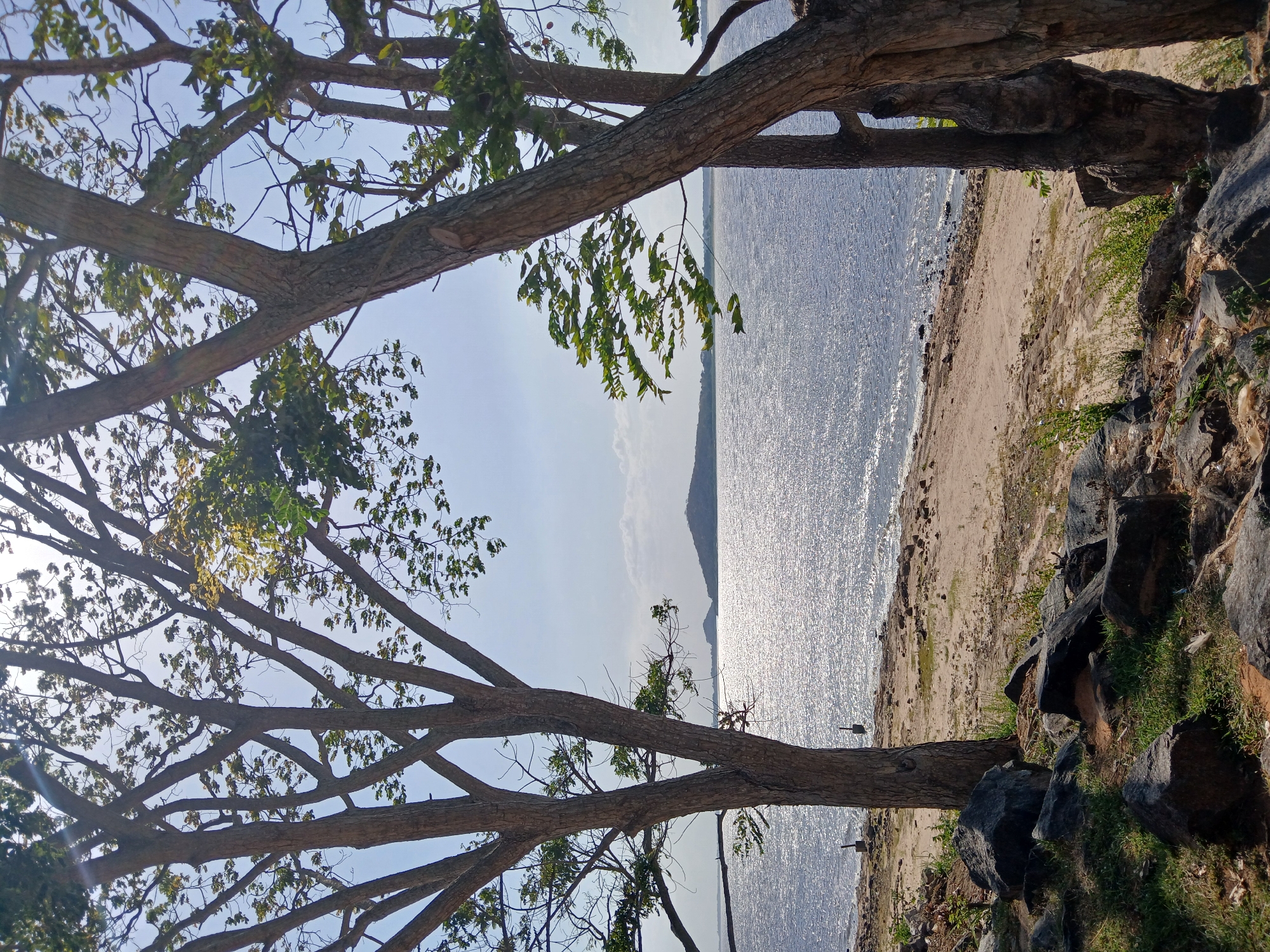 The image captures a scene in Ciudad Guayana, Venezuela, likely near the Caroní River or Guri Lake. Two trees with visible branches frame the view. Between the trees, there is a body of water, possibly the Caroní River, reflecting sunlight. A sandy beach is visible along the water's edge. Rocks and some vegetation are present on the right side of the image. In the distance, a landmass is discernible across the water. The sky is visible above the trees and water, showing a clear or slightly hazy atmosphere. The lighting suggests it is daytime. There are no people visible in the frame.