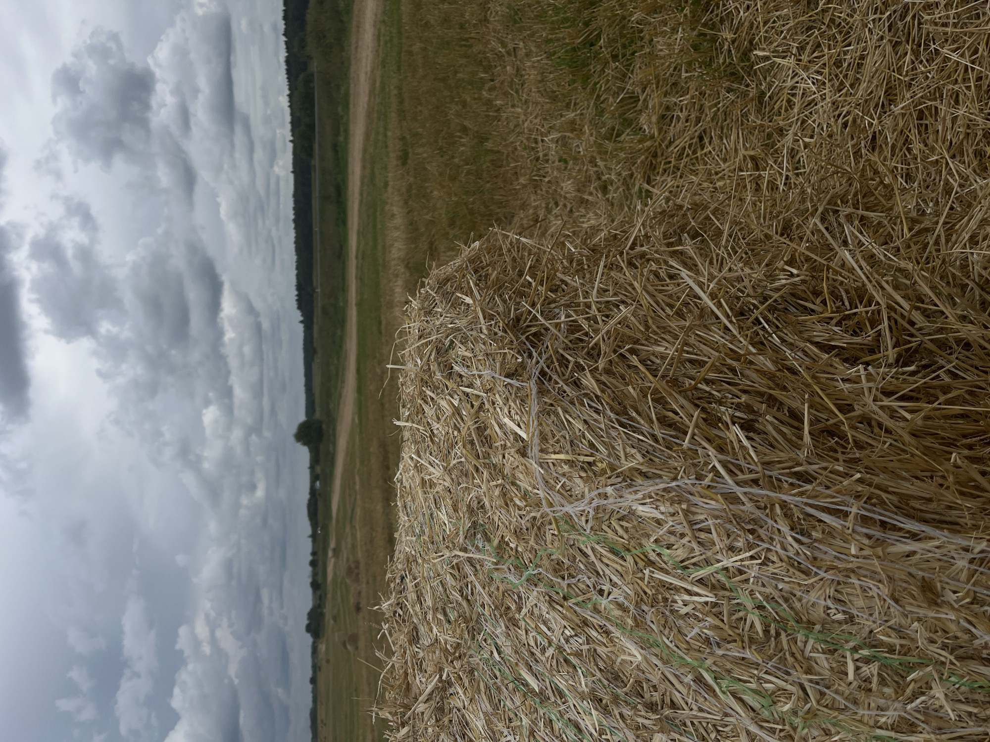 The image depicts a rural landscape with a large bale of hay in the foreground. The hay bale is tightly bound with green and white twine. Behind the hay bale, a field of cut wheat or straw stretches into the distance, dotted with more hay bales. A dirt path winds through the field. In the background, a line of trees borders the field, and beyond that, a cloudy, overcast sky dominates the upper portion of the image. The scene is set in Dyatlitsy, Russia, suggesting a agricultural or harvested farmland environment. There are no people visible in the image.