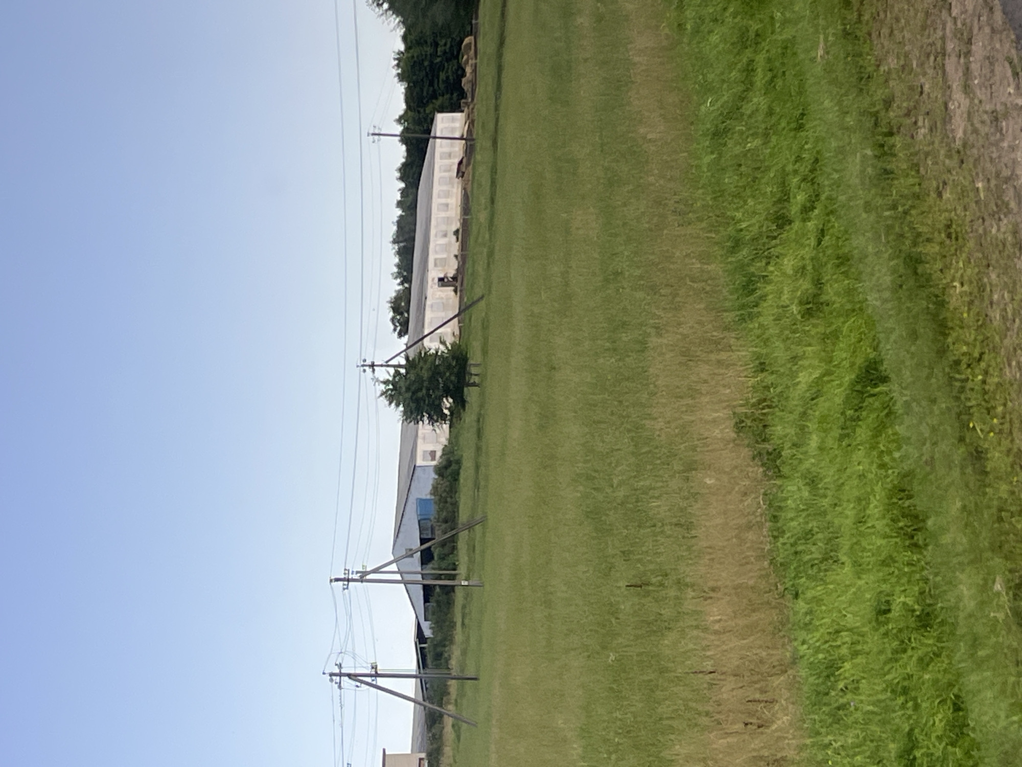 The image captures a pastoral scene under a clear, pale blue sky. The foreground is dominated by a lush green field, with areas of drier, golden-brown grass intermixed, suggesting a slightly untamed meadow. In the middle ground, a long, low-lying white building, possibly a barn or agricultural facility, stretches horizontally across the frame. The building has a dark roof and numerous windows or openings along its side, some of which appear to be boarded up. Adjacent to the building, a small, dark green tree stands, its foliage dense. Several utility poles, supporting a network of power lines, are strategically placed throughout the scene, with two prominent A-frame poles in the foreground and a single pole closer to the building. The background consists of a line of dark green trees, forming a natural border behind the structures. In the far right of the image, bales of hay or straw are stacked near the building, hinting at agricultural activity. The overall impression is one of a rural or semi-rural setting, likely on the outskirts of a settlement in the Мядзельскі сельскі Савет, Belarus. No people are visible in the image.