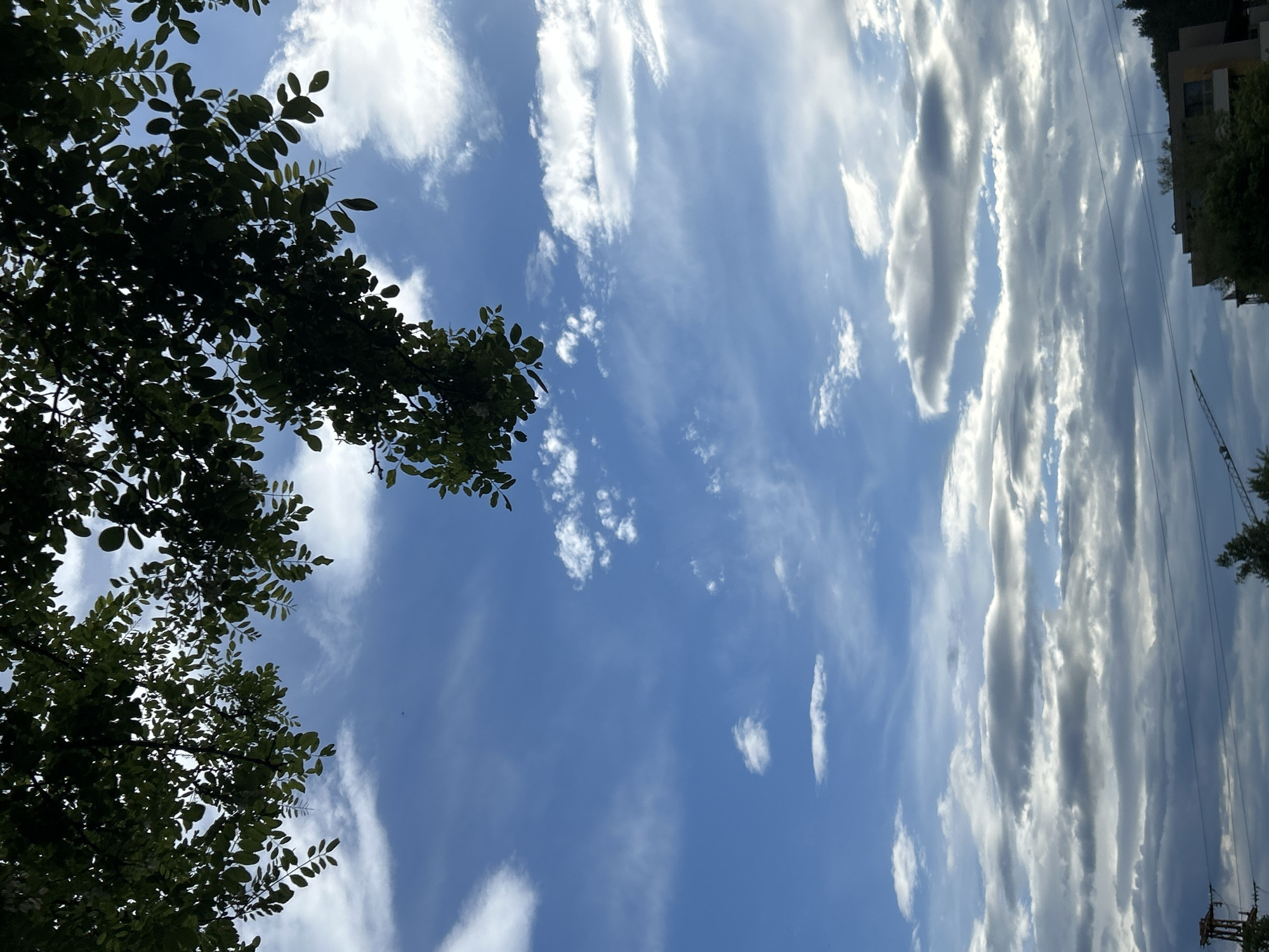 The image shows a view looking up at the sky. In the lower left corner, there are tree branches with leaves. The sky is blue and has several long, wispy clouds. In the upper right corner, there is a portion of a building and a crane. The location is in the city of Unknown, Unknown.