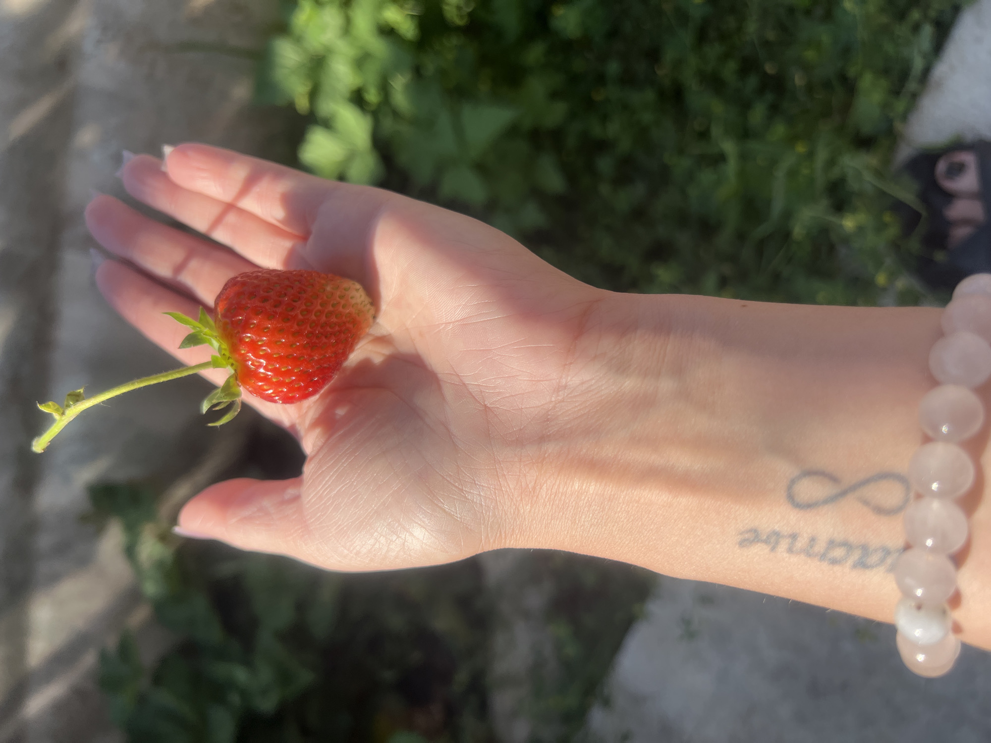 A person's open palm is presented, holding a single, ripe strawberry with a green stem. The hand, with long fingernails, displays light skin and visible veins. A light-colored bracelet made of round beads adorns the wrist. A tattoo of a word in cursive and an infinity symbol is visible on the inner wrist. The background is softly blurred, showing green foliage, a grey textured surface, and hints of sunlight. The scene appears to be outdoors.