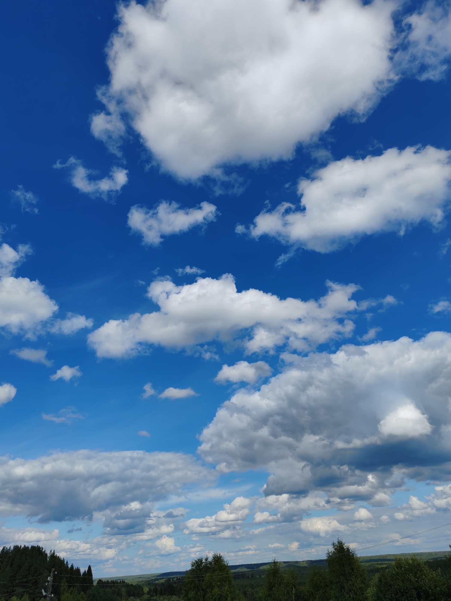The image captures a wide-angle view of a vast, bright blue sky filled with a variety of white and grey clouds. The clouds range from small, scattered puffs to larger, more voluminous formations, some appearing bright white against the blue, while others are shaded grey, suggesting depth and different altitudes. Below the sky, a densely forested landscape stretches towards the horizon. The trees are predominantly dark green, indicating a substantial forest cover. In the far distance, the landscape becomes a muted green, suggesting rolling hills or a distant plain. The lower left portion of the image shows the tops of some trees that are closer to the viewer. No people or specific structures are visible, creating a natural, expansive scene. The image appears to be taken on a clear day with dynamic cloud cover, typical of a temperate climate. The exact location within Чухлэм, Russia, cannot be precisely determined from the visual information alone, but it depicts a rural or natural setting characterized by forests and open sky.
