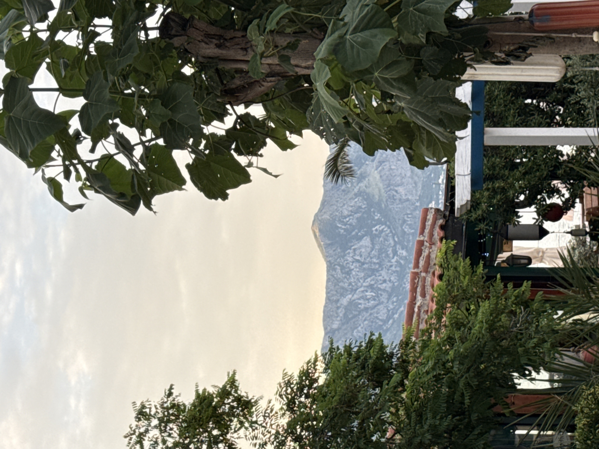 The image shows a view of mountains in Budva, Montenegro, framed by trees and a building with a red-tiled roof. A large tree with dark green leaves is prominently featured in the foreground on the right side of the image. To the left, another tree with lush green foliage partially obscures the view of the building's roof. The building appears to be a restaurant or cafe, with white posts and blue trim visible. Several hanging lamps and decorations are attached to the structure. In the background, rugged mountains rise against a hazy sky, their slopes covered in rock and sparse vegetation. The overall scene suggests a natural and somewhat rustic setting within a coastal town. There are no people visible in the image.