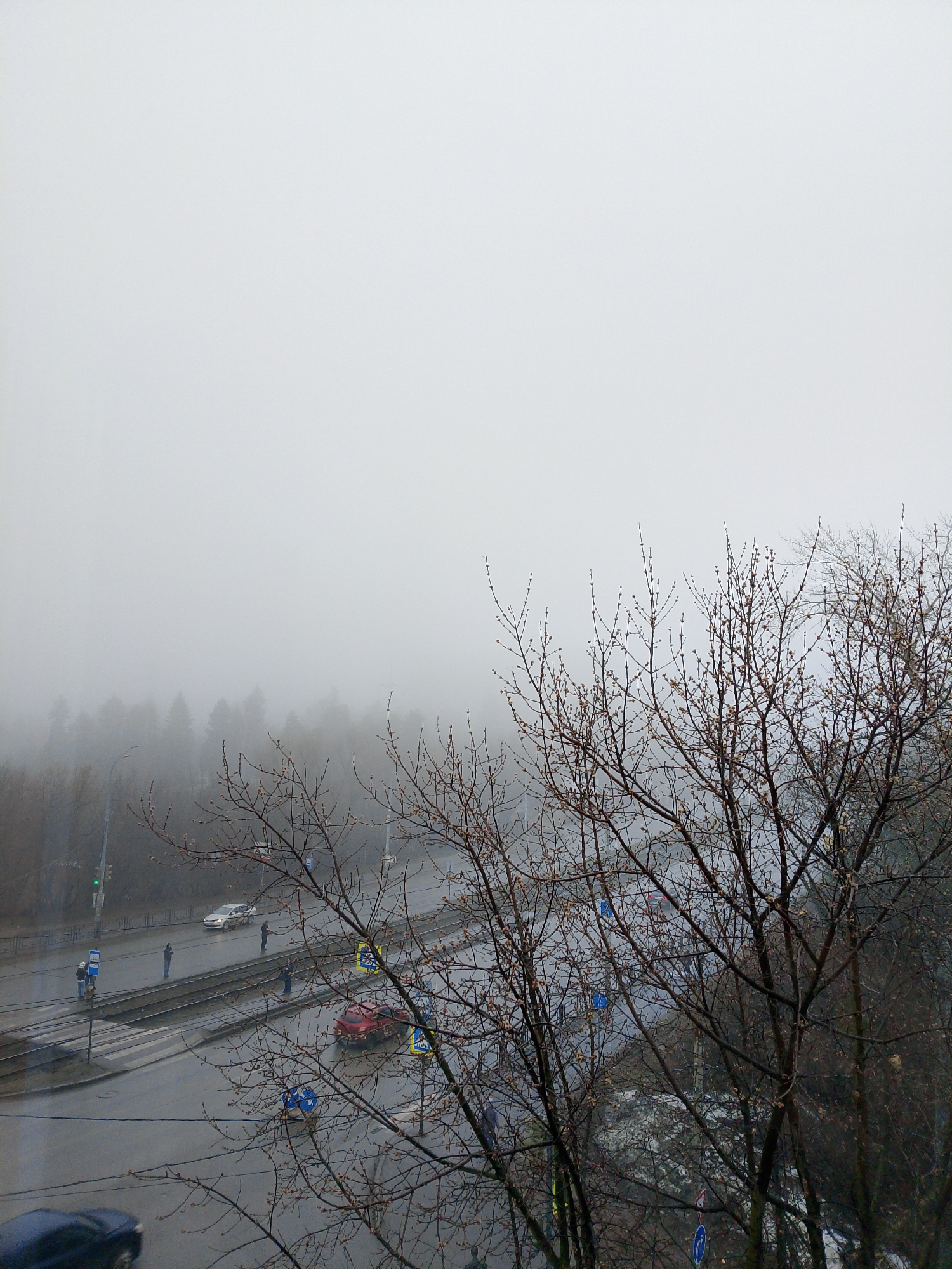 The image depicts a foggy day in Izhevsk, Russia, overlooking a road with tram tracks. Several people stand on the pavement near a pedestrian crossing. Cars, including a red one, are visible on the road. Bare trees with buds are prominent in the foreground. Fog obscures the forest in the distance. The road appears wet, suggesting recent or ongoing rain. Street lamps are visible along the roadside.