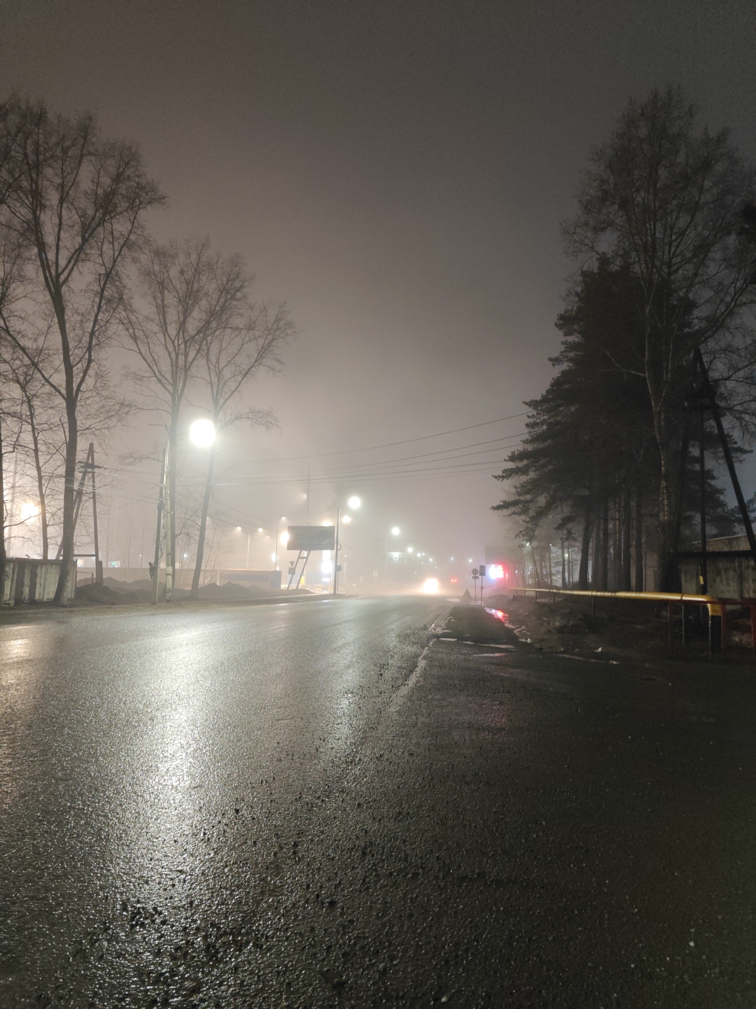 The image shows a street at night in Chaikovsky, Russia. The street is wet, likely from recent rain, with reflections of streetlights visible on the pavement. Fog or mist obscures the background, creating a low visibility environment. Bare trees line the left side of the street, while coniferous trees are visible on the right. Streetlights illuminate the road, and the blurred headlights and taillights of distant vehicles are seen in the fog. A small building or structure with red accents is on the right side of the road. A sign is visible in the middle distance, also obscured by fog. The overall impression is of a quiet, atmospheric scene.