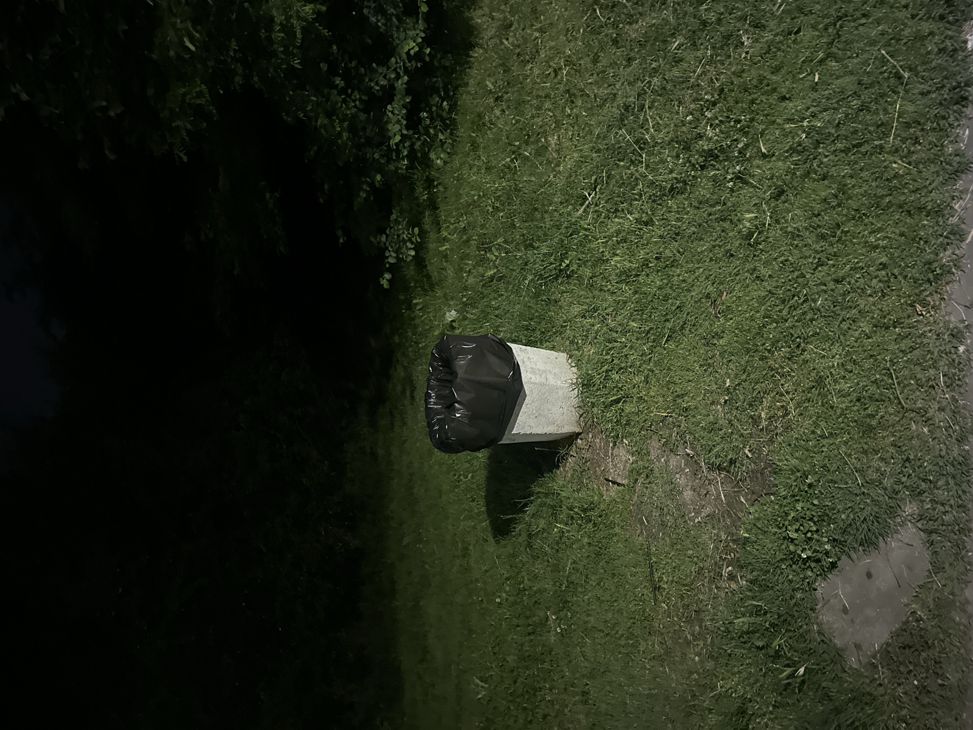 A concrete trash receptacle with a black liner is situated in a grassy area at night. The receptacle is centrally located in the frame. Behind it, dense foliage and trees are visible, shrouded in darkness. The ground is covered in green grass, with a faint, worn path leading towards the trash can. A small portion of a concrete slab is visible in the lower left corner of the image. The scene appears to be an outdoor public space, possibly a park or a trail.