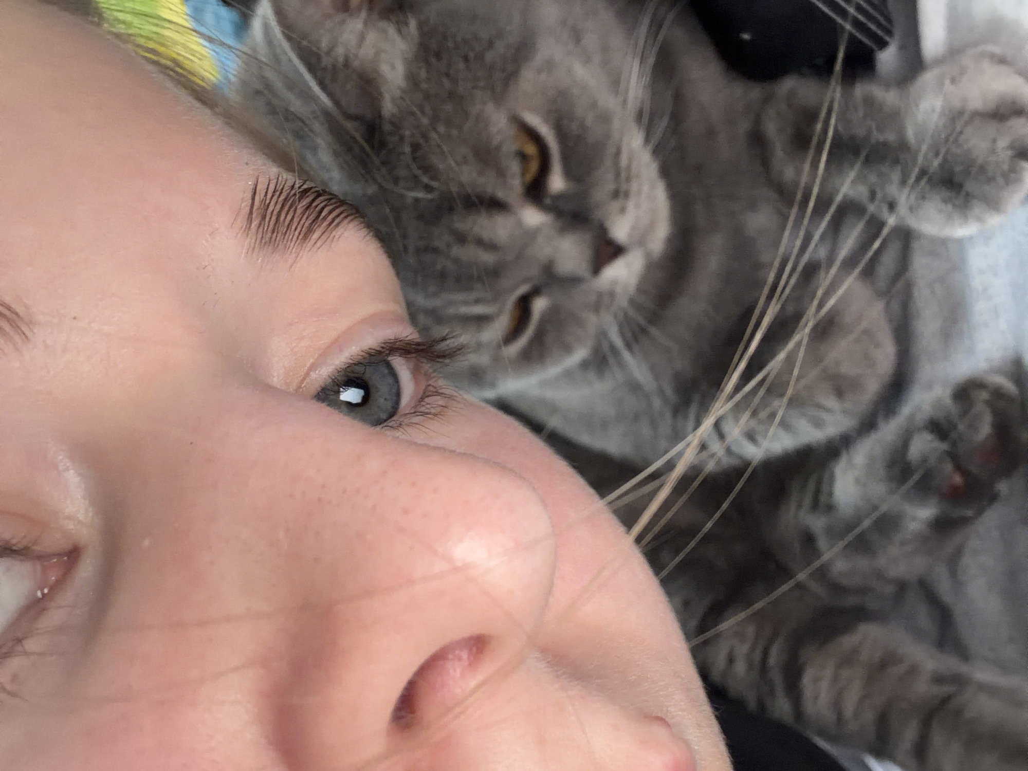 This close-up image captures an intimate moment between a person and a grey cat in an indoor setting, likely a home in Perm, Russia.
The human subject occupies the left side of the frame, with only a partial view of their face visible. Their left eye, featuring a blue-grey iris, is prominent, along with a distinct eyebrow, forehead, the bridge of their nose, and a portion of their cheek. Skin texture, including fine pores, is discernible, and the person's gaze is directed slightly upwards and towards the right.
To the right, in the background, a grey cat is lying down. While slightly out of focus, the cat's head, showing amber-colored eyes, its body, and paws are visible. Several long, light-colored whiskers extend from the cat's face towards the human subject, creating a visual link between them. The cat appears relaxed and content, seemingly looking in the direction of the person.
The scene conveys a sense of calm and affection, highlighting a close bond between the person and their pet. The indoor environment suggests comfort and domesticity, possibly a bed or sofa. No specific time of day or weather conditions are indicated, and there is no visible text in the image.