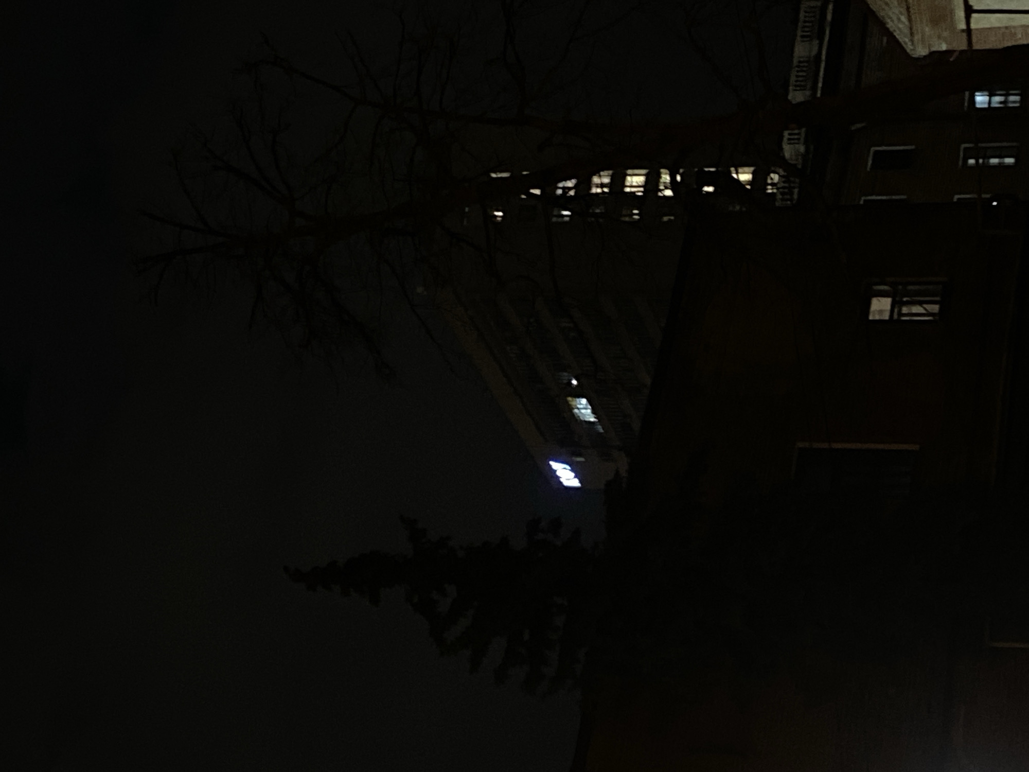 The image captures a nighttime scene in Kazan, Russia. A bare tree with thin branches is silhouetted against the backdrop of illuminated windows in tall buildings. The lower portion of the image is dominated by the dark silhouettes of another tree or large bushes. In the background, illuminated windows of buildings can be seen, some with a blue neon light. The overall scene appears to be set in a densely built urban environment with limited lighting.