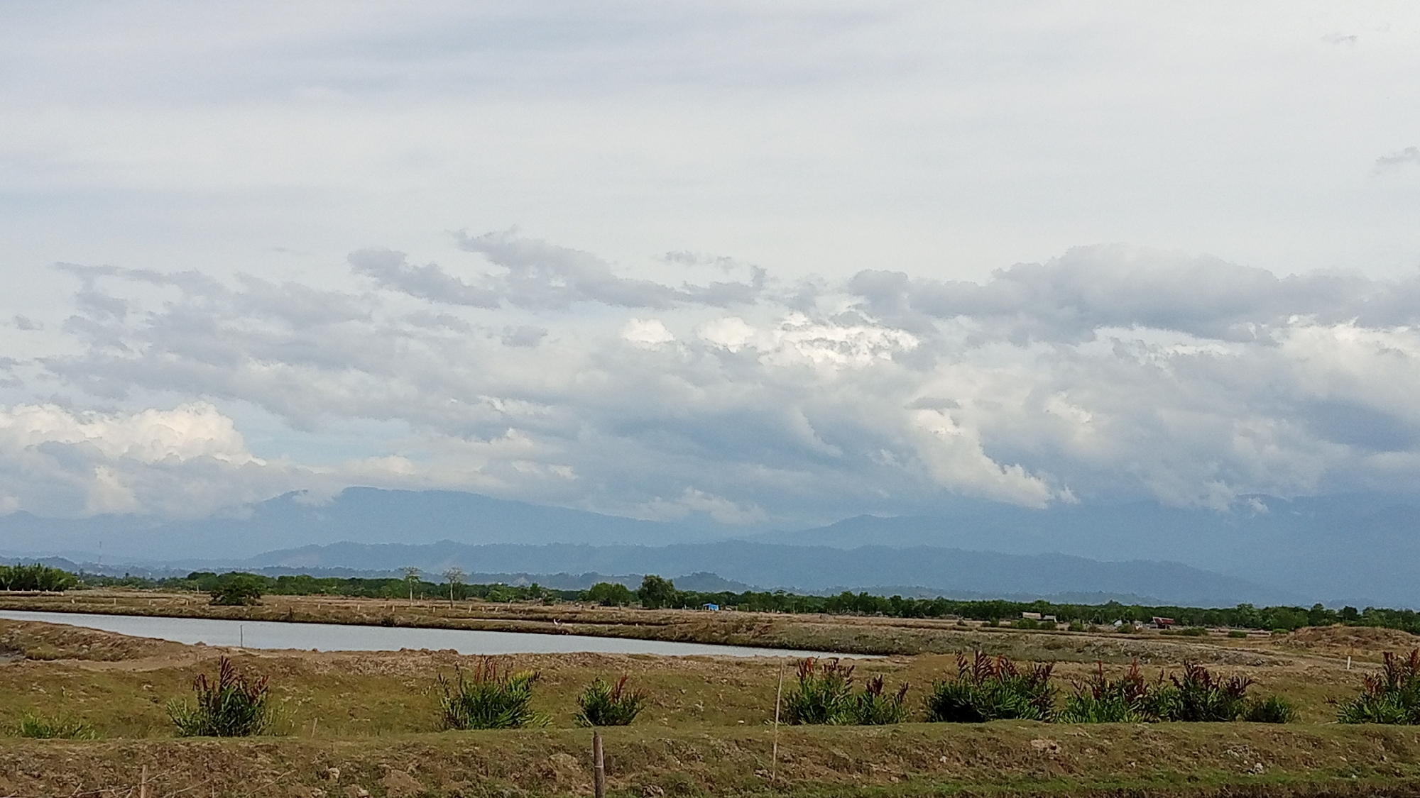 This is a landscape photograph taken in Tanjong Krueng, Indonesia, on a cloudy day. The foreground consists of dry, cultivated earth with sparse vegetation, including several bushes with reddish-brown foliage. In the midground, a calm body of water, possibly a pond or lake, stretches horizontally across the frame. Beyond the water, a flat expanse of land is dotted with trees and appears to be a rural or agricultural area, with a few small structures visible in the distance. A distant mountain range forms the backdrop, its peaks softened by the overcast sky. The sky is filled with a dramatic display of cumulus clouds, ranging from bright white to dark gray, suggesting a potential for rain. The overall impression is one of a natural, undeveloped environment under a dynamic sky.