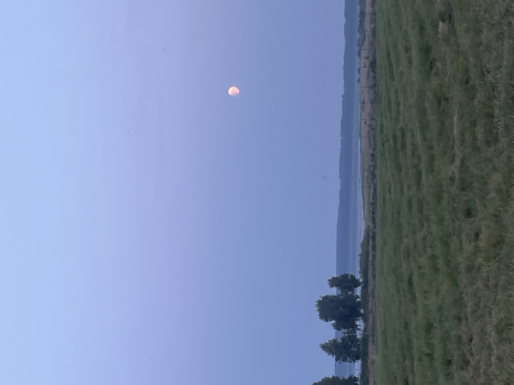 An outdoor, eye-level shot captures a serene twilight landscape in Surakovo, Russia. The sky, a gradient of pale blue to soft lavender, hosts a luminous full moon, tinged with pink, slightly to the right of the frame's center. In the foreground, a vast, green field stretches out, its texture a soft blur of grass. A line of dark trees punctuates the midground, silhouetted against a distant, hazy horizon. Beyond the trees, a body of water is visible, bordered by a low, dark line of what appears to be more distant land or forest. A wire fence runs across the midground, separating the field from the area closer to the trees and water. The overall impression is one of natural tranquility at dusk.