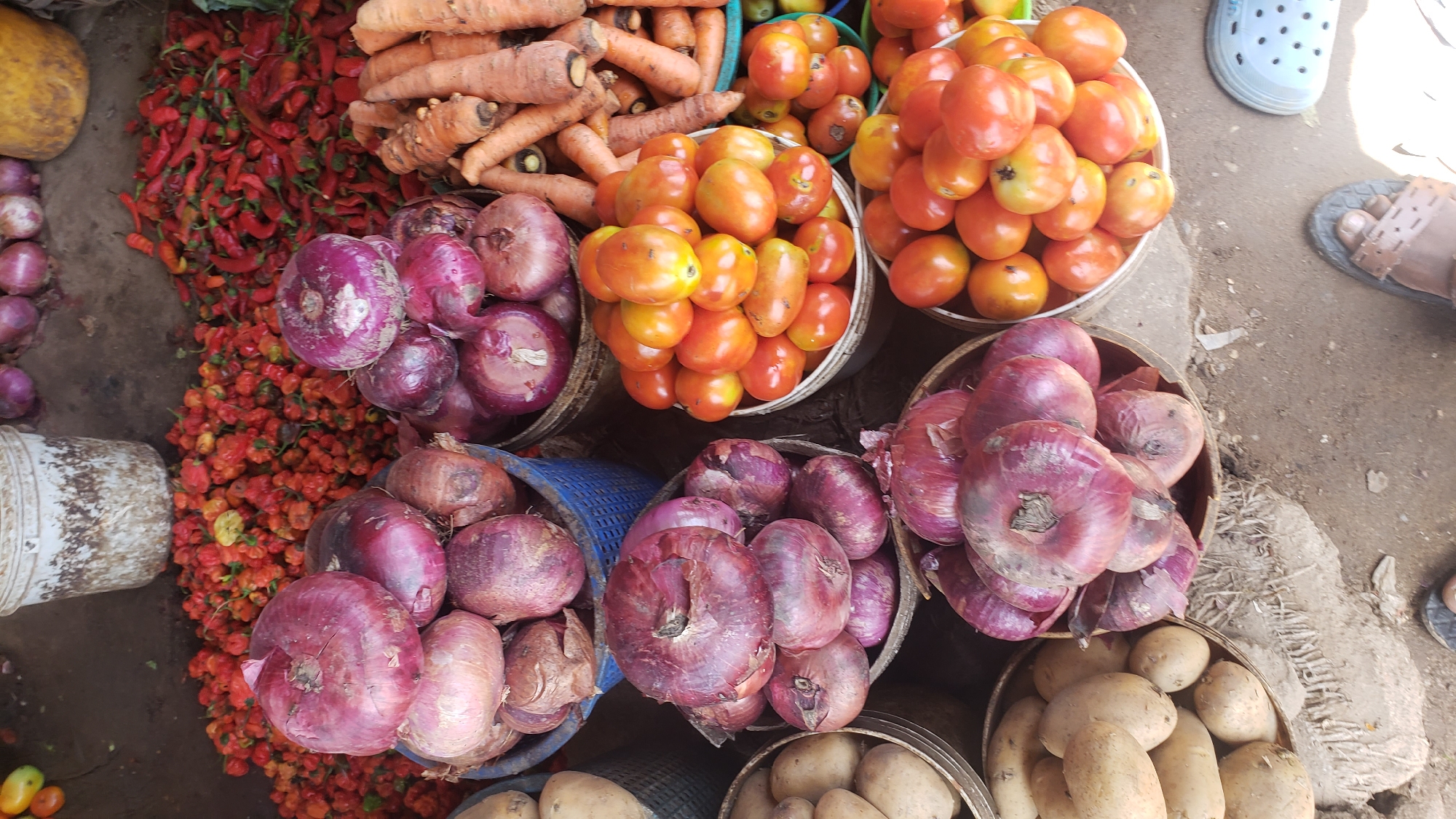 A high-angle shot depicts a colorful display of produce at a market in Sabon Tasha, Nigeria. Several baskets and containers overflow with vegetables. From left to right, there are red peppers, carrots, tomatoes, red onions and potatoes. Some feet wearing sandals and shoes are partially visible, indicating shoppers or vendors. The environment is a typical marketplace setting with earthy tones and various textures.