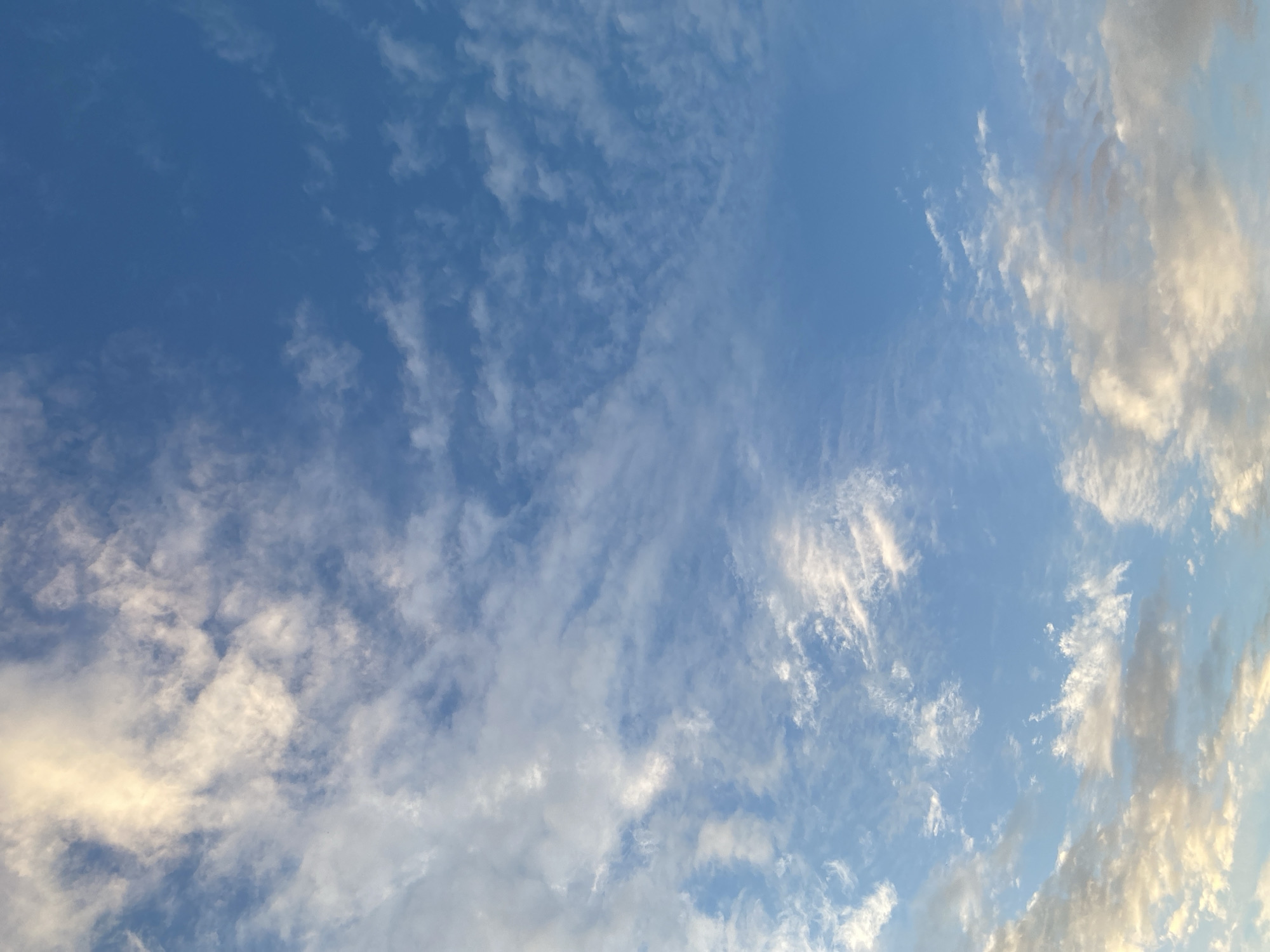 The image shows a wide shot of a blue sky filled with various clouds. The clouds range from wispy cirrus formations scattered across the upper half of the frame to thicker, more cumulus-like clouds towards the bottom. Some of the clouds are illuminated with a soft, golden light, suggesting it might be sunrise or sunset, while others are a brighter white. The overall impression is one of a bright, clear day with dynamic cloud activity. The image does not contain any people, objects, or identifiable landmarks, making it impossible to determine a specific city or location.
