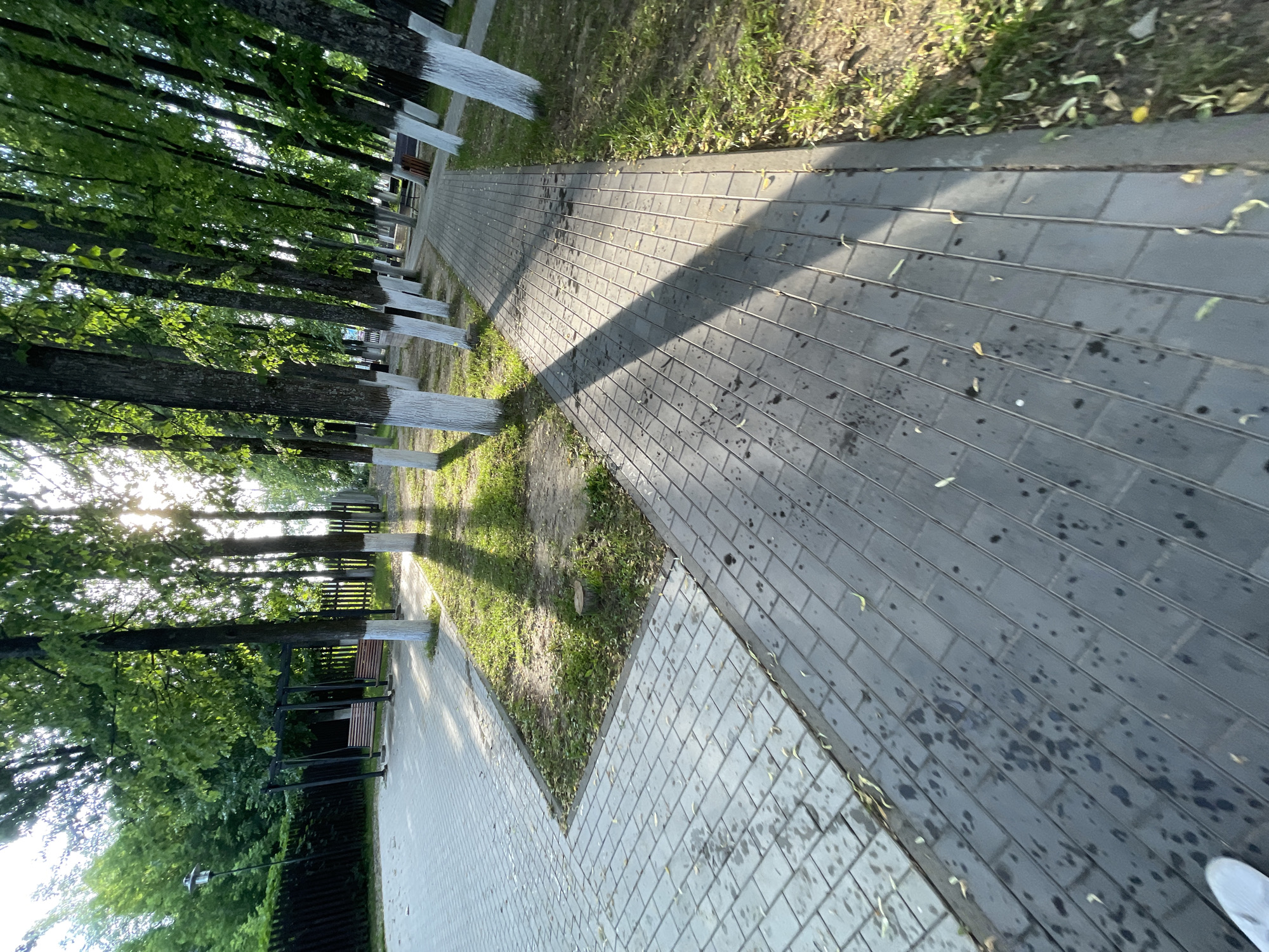 The image depicts a park pathway in the city of Krasnye Baki, Russia, lined with trees whose trunks are painted white at the base. The pathway is paved with gray rectangular bricks, some of which appear wet with dark patches. Sunlight filters through the lush green leaves of the trees, casting dappled shadows on the ground. To the left of the pathway, there's an area with lighter-colored paving stones and a small patch of grass with a tree stump. Further in the background, a wooden fence and what appears to be a swing set with benches are visible. The scene suggests a tranquil outdoor setting during daylight hours.