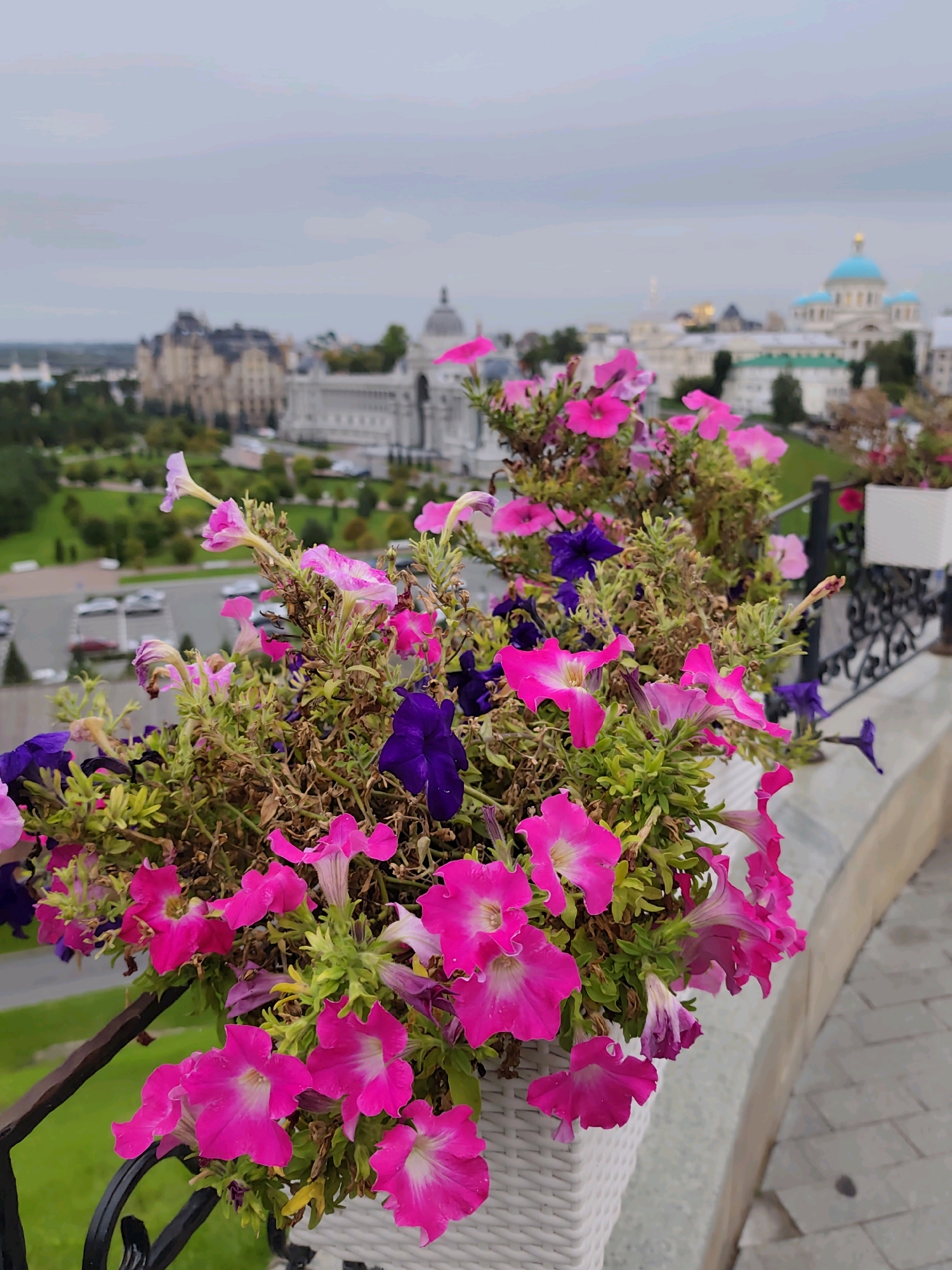 The photograph captures a close-up view of a planter filled with vibrant pink and purple petunias. The flowers are the primary subject, with their petals in sharp focus, cascading over the edge of a white woven planter. In the background, the cityscape of Kazan, Russia, is visible but out of focus. Distinctive landmarks like the Kul Sharif Mosque with its iconic blue domes and the Kazan Kremlin complex, featuring imposing historical buildings with varied architectural styles, can be discerned. The sky is overcast, suggesting a cloudy day. The foreground shows a stone walkway and a decorative black metal railing. There are no people or animals present in the image. The scene appears to be a scenic overlook or a balcony area, likely in a tourist-frequented part of Kazan.