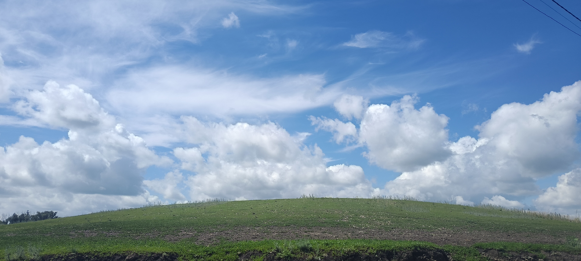 A wide, horizontal shot captures a vast blue sky filled with a mix of wispy cirrus clouds and larger, puffy cumulus clouds. The clouds are illuminated by sunlight, casting soft shadows and creating depth. Below the sky is a rolling green hill. The top of the hill is covered in lush green grass, appearing to be a pasture or field. The lower portion of the hill displays patches of dark soil, suggesting recent tilling or planting. In the foreground, a strip of darker green vegetation lines the bottom of the frame. To the far left, a cluster of trees with dark foliage is visible at the base of the hill. The scene evokes a sense of openness and tranquility. The presence of overhead power lines in the upper right corner provides a subtle hint of human presence, but the overall impression is one of natural beauty. The lighting suggests it is daytime, likely late morning or afternoon, with fair weather. No text is visible in the image.