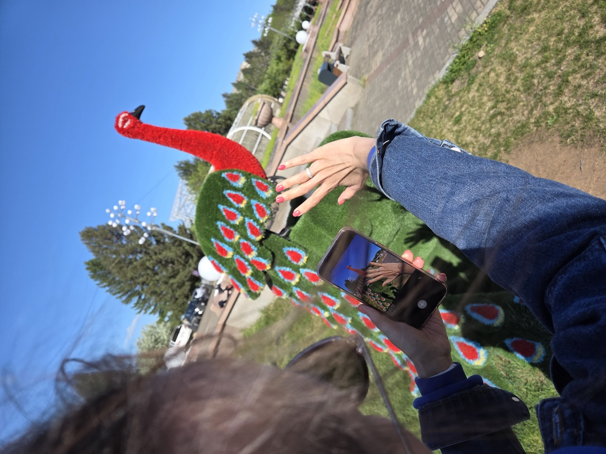 A woman in a blue denim jacket is holding up her cell phone in her left hand, taking a picture of a large peacock sculpture in a park. The peacock has a red neck and green body with blue and red eye spots on its tail. The woman's right hand is near the peacock's neck, possibly for scale or effect in the photo. The park has greenery and a paved walkway in the background. The sky is bright blue. The phone's screen shows a smaller version of the scene, including the woman's hand and the peacock sculpture. The photo was taken in Birobidzhan, Russia.