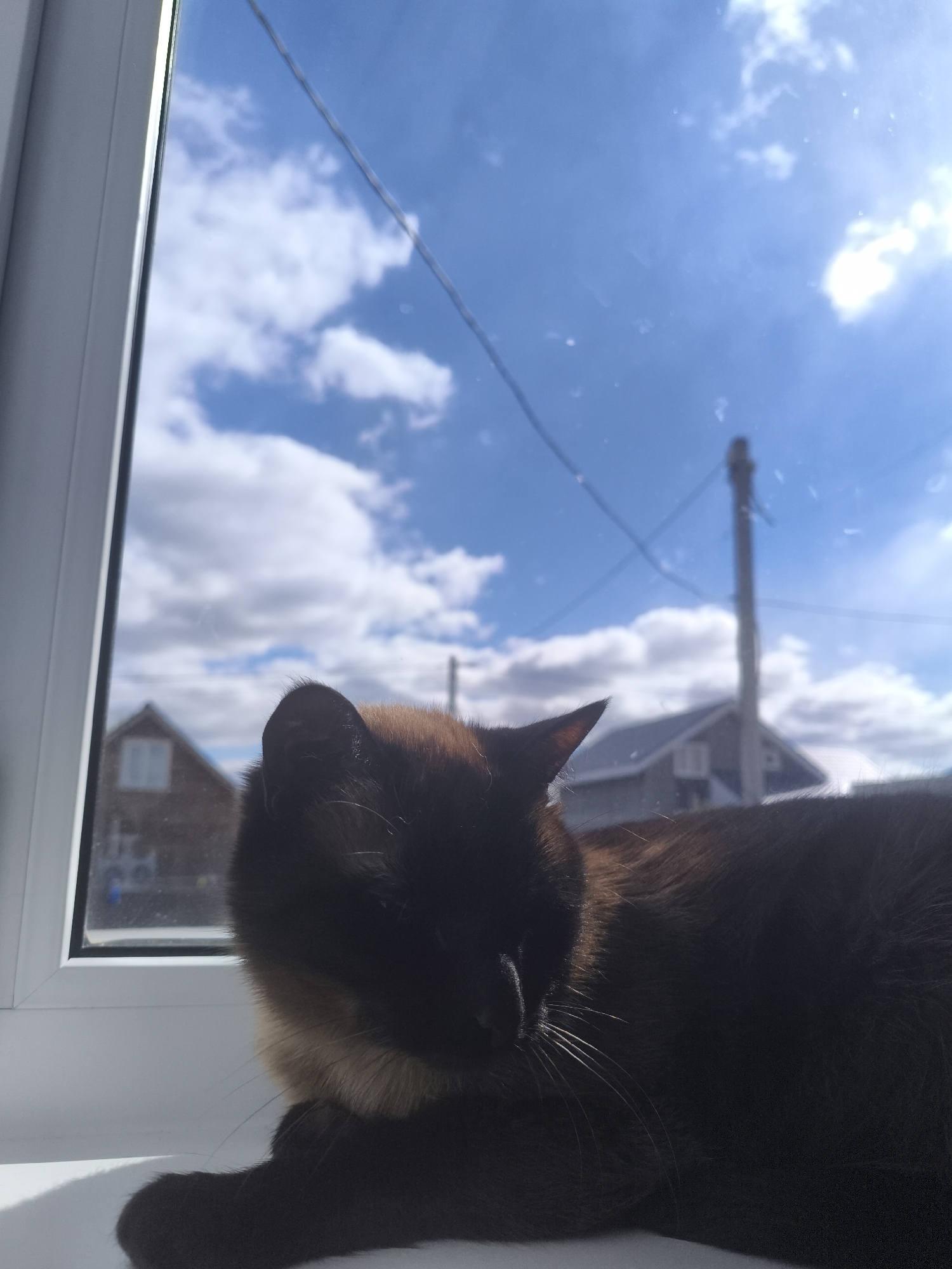 A dark-furred Siamese cat is resting on a white windowsill indoors. Outside, a bright, cloudy sky is visible through the window. Houses and a utility pole are also visible in the background. The scene is likely in a residential area of Русский Вожой, Russia, based on the prompt.