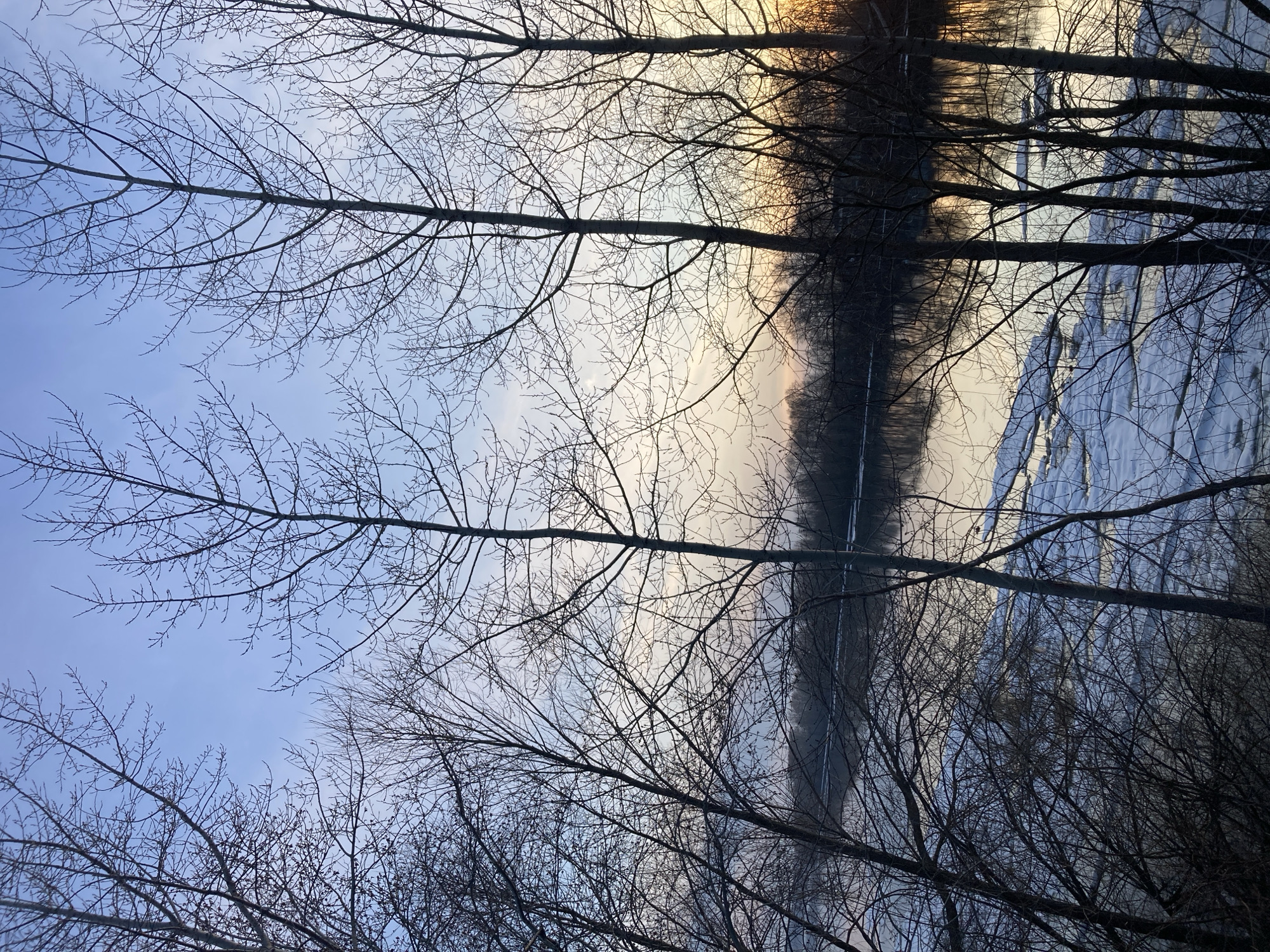 The image presents a view looking upwards through bare tree branches against a sky with varying shades of blue and light orange, indicative of either sunrise or sunset. The right side of the frame features reflections on what appears to be water, possibly a river or lake reflecting the sky and trees. Snow is visible on the ground to the right of the water.
Without additional information or context, it's impossible to definitively ascertain whether this is a specific location within Chaikovsky, Russia.