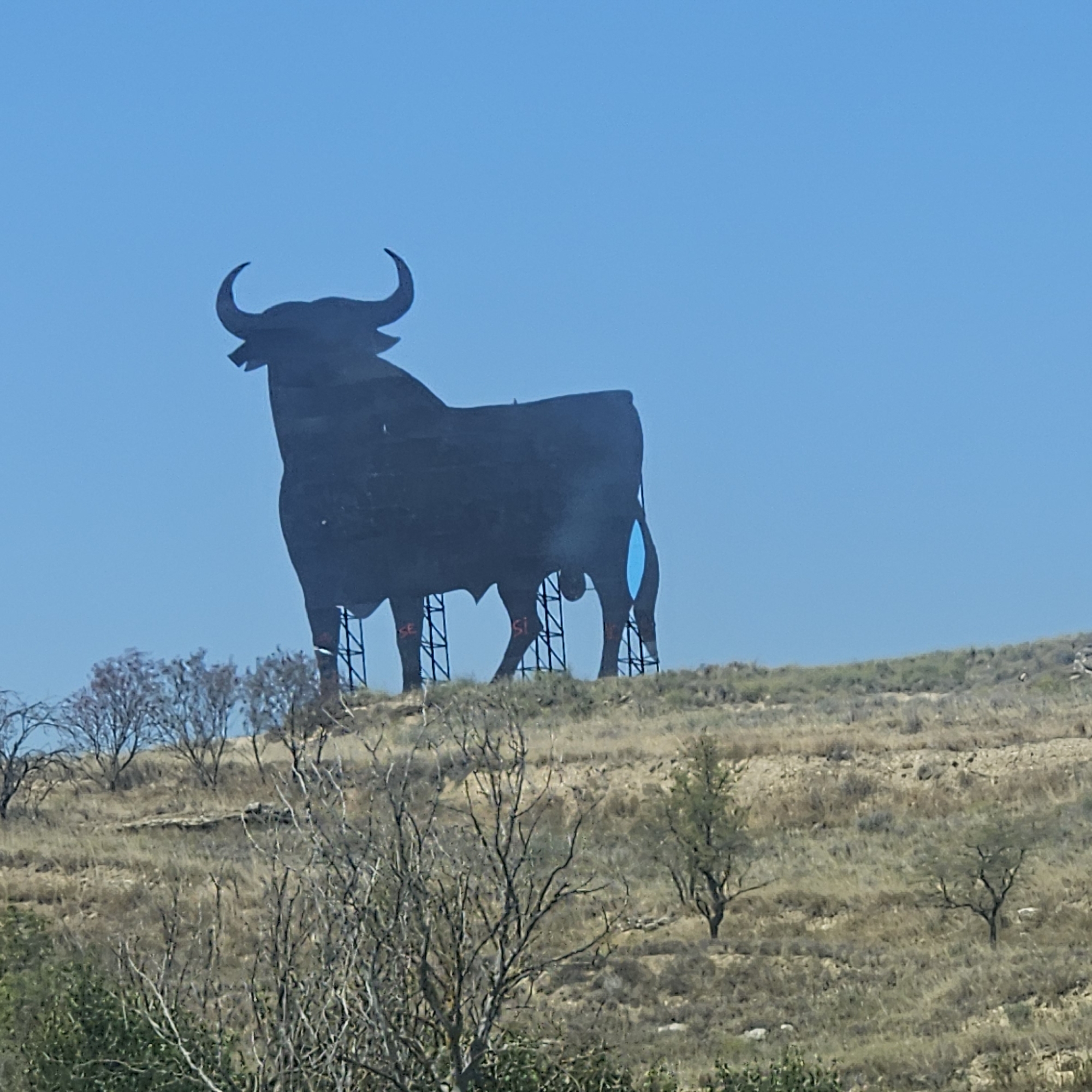 A large, black silhouette of a bull stands against a clear blue sky, positioned on a grassy hill. The bull, a symbol of Spain, is a well-known landmark that can be seen from the main road in the town of San Asensio, Spain. The silhouette is supported by metal scaffolding. The hill is covered with dry grass and sparse vegetation, with a few leafless trees in the foreground. The overall scene suggests a dry, open landscape.