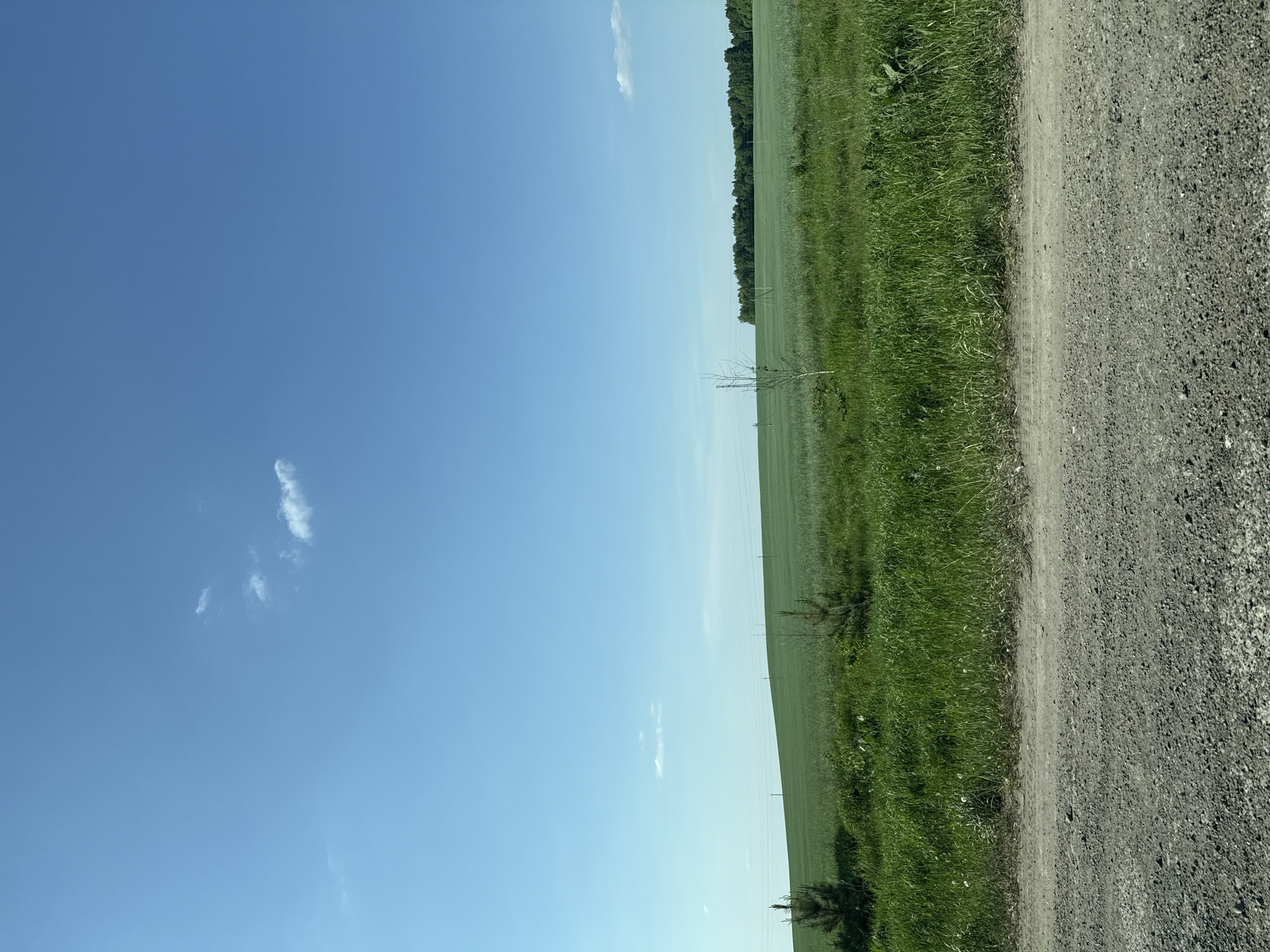The image shows a rural landscape. A blue sky with scattered clouds occupies the left half of the frame. The right half consists of a green field or meadow, bounded by a line of trees in the distance. A gravel or dirt road runs along the right edge of the image, adjacent to the green field. There are electrical poles visible in the field. The location is Semenovo, Russia. There are no people depicted in the image.