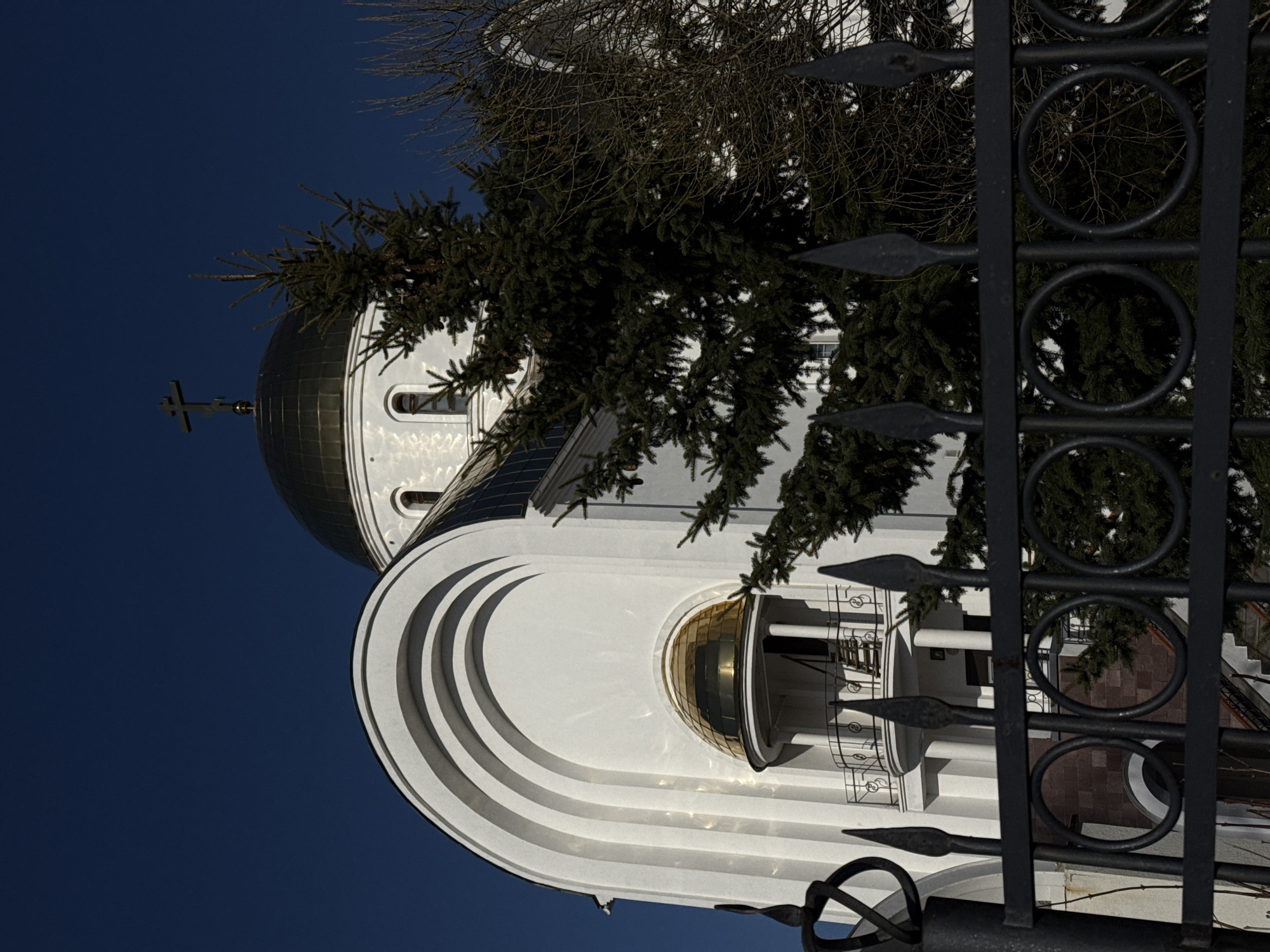 From a low angle, the image presents an architectural view dominated by a white building, possibly a church or religious structure, positioned against a clear, dark blue sky. A golden dome topped with a cross is visible, suggesting a religious context. The building exhibits a unique design, featuring curved, tiered architectural elements. A segment of a black metal fence, characterized by circular designs and spear-shaped details, overlays the right side of the frame, partially obscuring the building. Bare tree branches and dense evergreen foliage are interspersed around the structure, hinting at a possible park or natural setting. The overall composition suggests a serene outdoor scene, captured in daylight. This image depicts the Alexander Nevsky Cathedral located in Votkinsk, Russia.