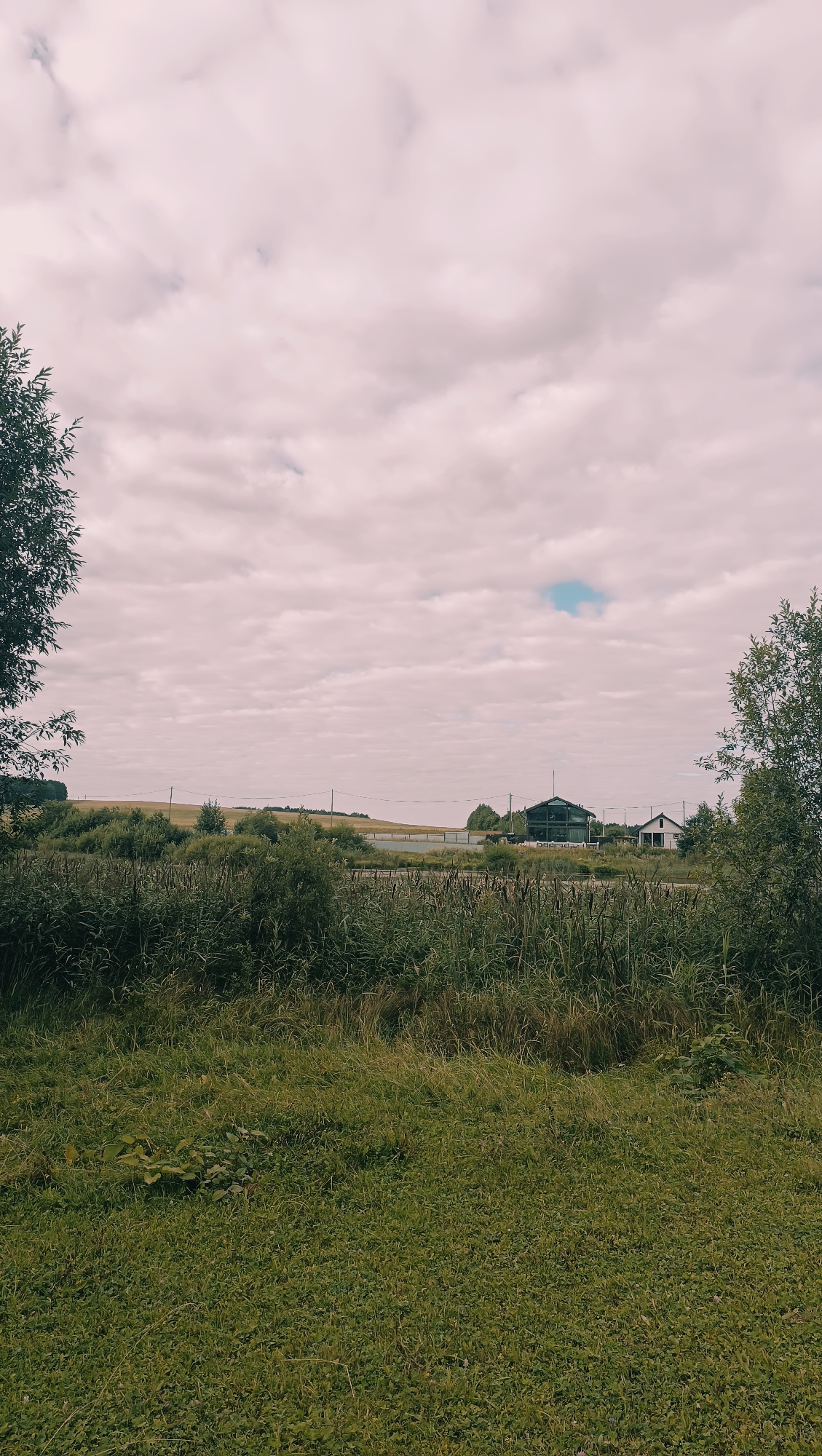 The image depicts a rural landscape under a cloudy, pink-hued sky. In the foreground, a lush green grassy field transitions into dense reeds and other tall vegetation. In the middle ground, a row of trees and bushes borders a flat, open field. Beyond this, a long, dark structure, possibly a warehouse or industrial building, is visible, with a smaller white building to its right. A fence runs horizontally across the mid-ground, separating the vegetation from the open field. Power lines are also present, stretching across the scene. The overall impression is one of a serene, undeveloped rural environment, with no people or animals visible. The location is identified as Karsha, Russia.