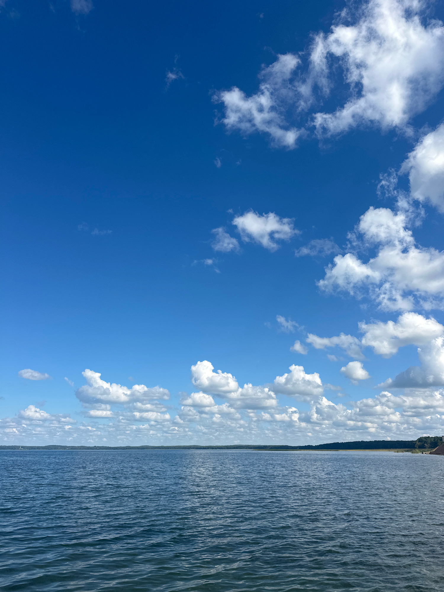 The image displays a wide expanse of blue water under a bright blue sky dotted with fluffy white clouds. The water, likely a lake or large body of water, has a slight ripple on its surface, suggesting a gentle breeze. In the distance, a treeline forms a dark, continuous horizon against the sky, indicating land. The scene is serene and natural, evoking a sense of openness and tranquility. The location is identified as Мядзельскі сельскі Савет, Belarus.
