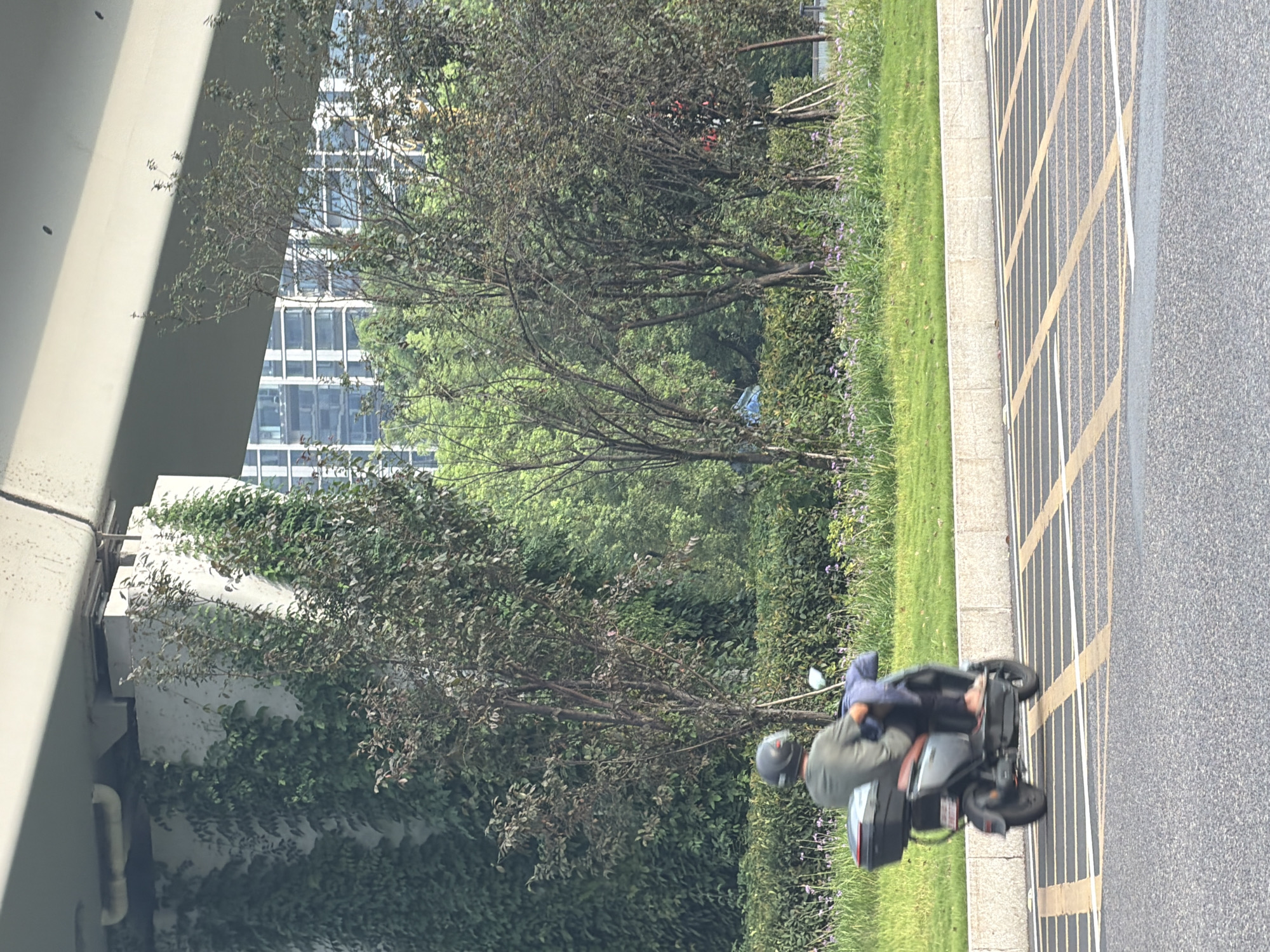 The image shows a person riding a scooter on a street in Jiangjin, China. The person is wearing a green shirt and a helmet. The scooter is gray with a black storage box on the back. In the background, there are trees, buildings, and a bridge. The street has yellow and white markings. The scene appears to be a typical urban environment with a mix of nature and infrastructure.