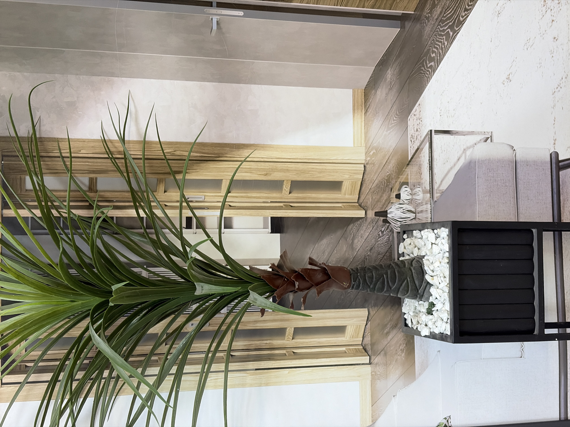 The image depicts an interior scene, likely a room in a house. The walls are painted in a light color with wooden paneling on one side, which runs from ceiling to floor. The floor is also covered in a faux wood pattern. There is a green plant with slender leaves, filling a significant portion of the left side of the frame. The plant's trunk appears to be in a decorative container filled with white stones. A black shelf or rack is visible near the right edge of the frame, with an adjacent couch upholstered in gray fabric. Shoes can be seen on the floor.
Given the lack of distinctive architectural or geographical features, determining the precise location as Izhevsk, Russia, is impossible from the visual information provided.