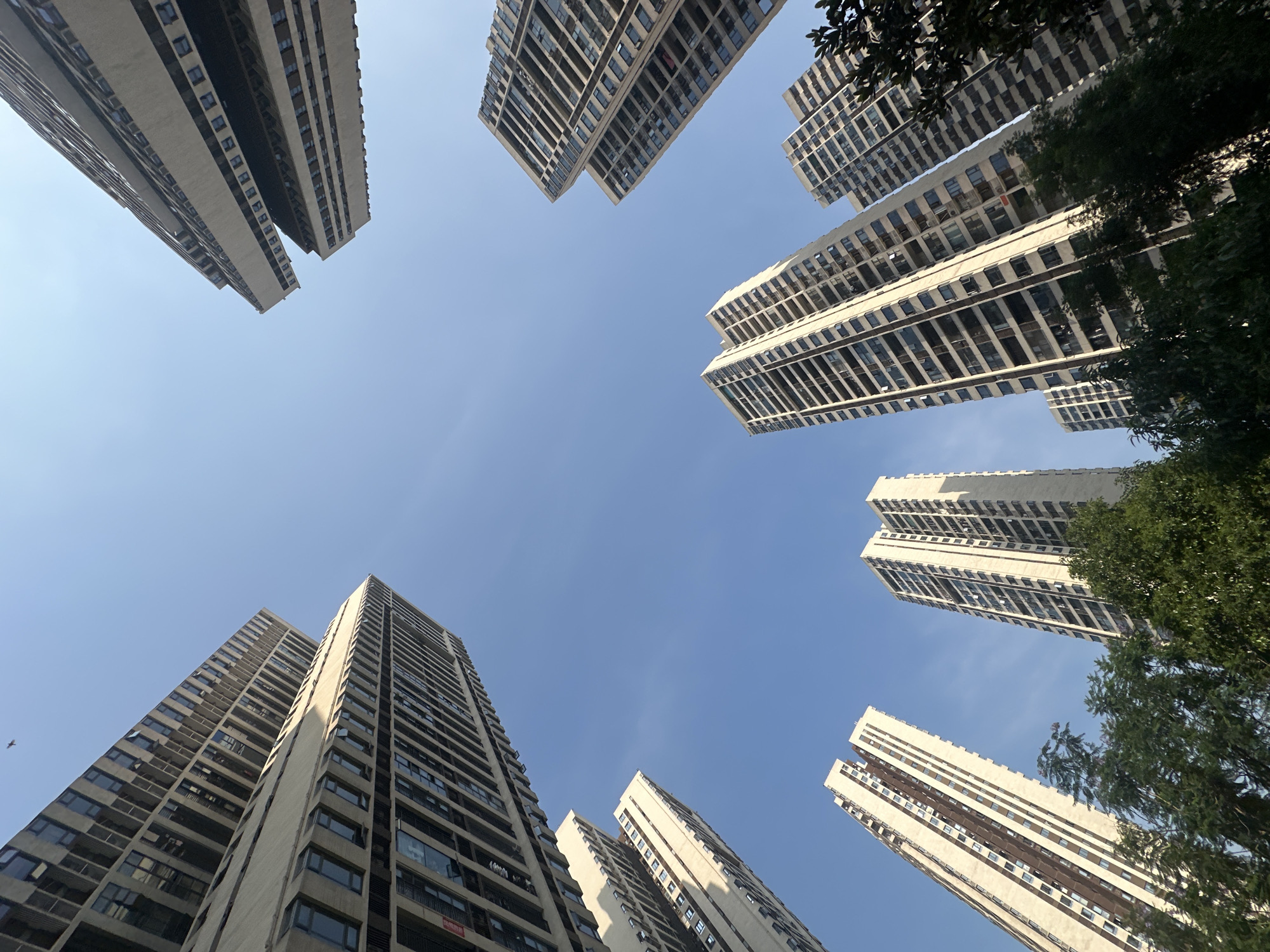 The image presents a worm's-eye view of multiple towering high-rise residential buildings under a vast, clear blue sky. The buildings frame the sky from all sides, creating a sense of being enveloped by urban structures.
The primary subjects are numerous tall, slender apartment blocks, uniform in their light-colored facade, likely concrete or a similar material, with repetitive patterns of windows and balconies. They appear to be densely packed, indicative of a modern, high-density urban environment. Some buildings feature darker recessed sections or balcony areas. Green foliage from trees is visible on the right side of the frame and slightly on the upper left, providing a touch of nature amidst the concrete structures.
The activity captured is static, focusing purely on the architectural landscape. The notable details include the bright, cloudless blue sky, suggesting a clear and sunny day, possibly late morning or early afternoon given the lighting and absence of harsh shadows directly overhead. The architectural style points to a contemporary urban setting. Based on the provided context, the location is the Chongqing High-tech Zone in China.
A small, faint red sign with Chinese characters is visible on the lower section of a building in the bottom left, which, upon closer inspection in one of the crops, appears to read "租房" (zūfáng), meaning "house for rent" or "to rent a house."
