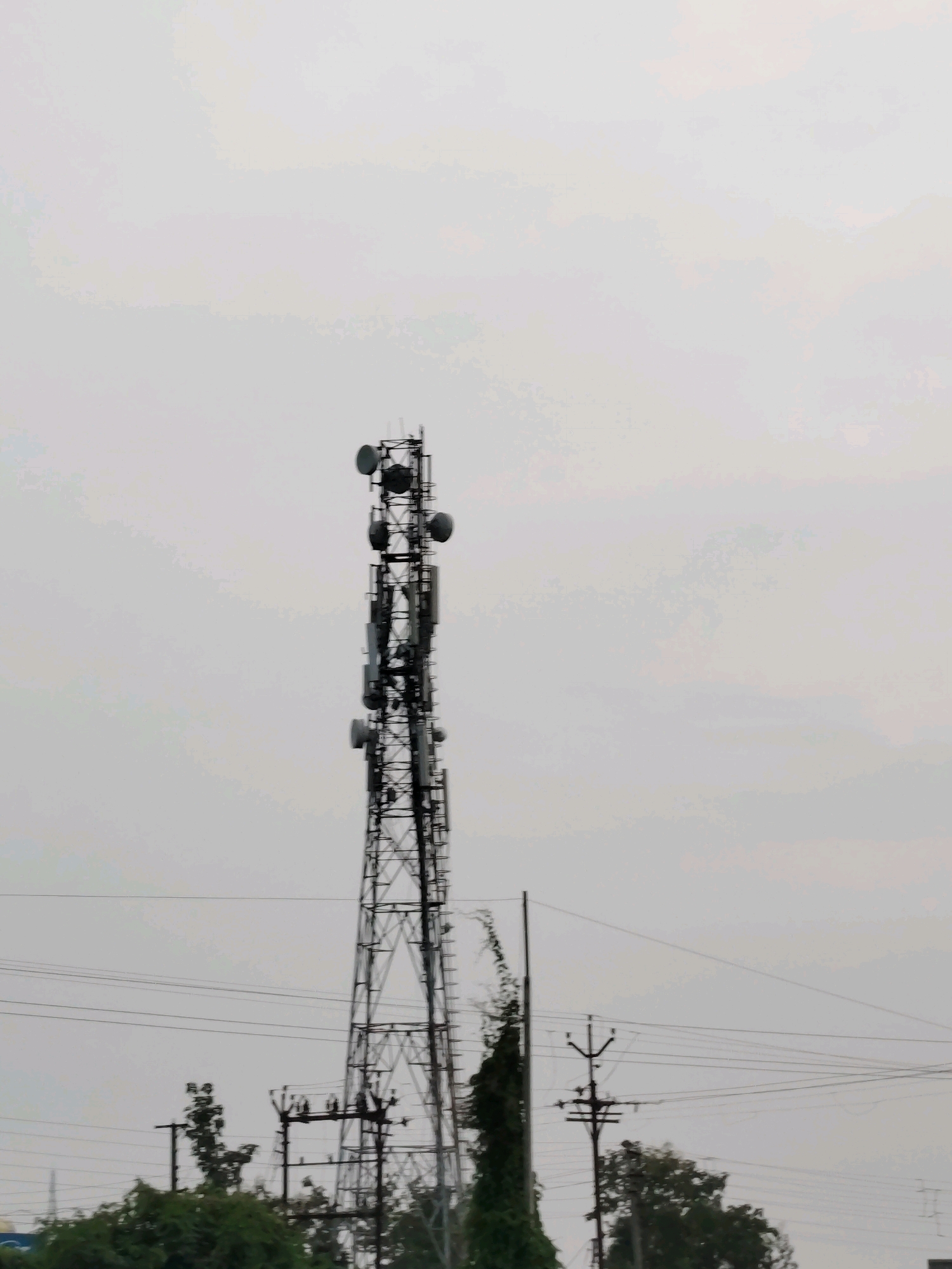 A tall, dark metal lattice tower, likely a cell tower, dominates the center of the frame, extending high into a pale, overcast sky. The tower is equipped with numerous antennas and dish-like structures at various levels. In the foreground, a line of power lines runs horizontally across the image, supported by wooden utility poles. Dense green foliage is visible at the bottom of the frame, obscuring the ground and suggesting a semi-urban or rural environment. The overall impression is one of a functional infrastructure element set against a muted, cloudy backdrop.