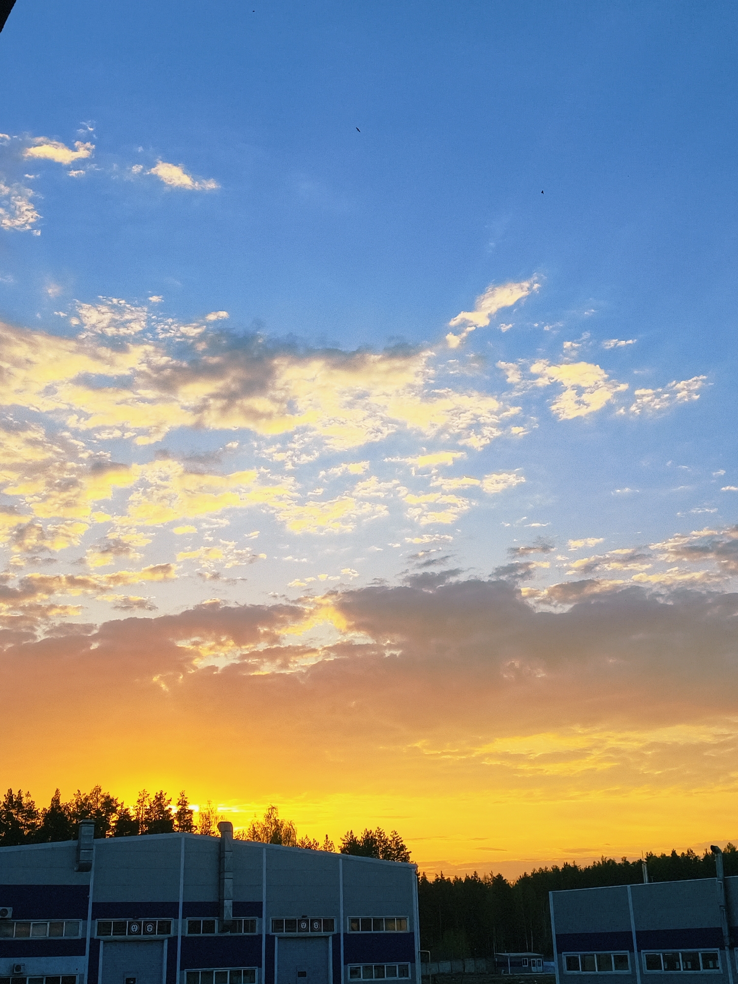 The image shows a sunset over a building in Noviy, Russia. The sky transitions from blue at the top to yellow and orange near the horizon, with scattered clouds throughout. The building is gray with a blue stripe and has several doors and windows. A line of trees is silhouetted against the sunset.