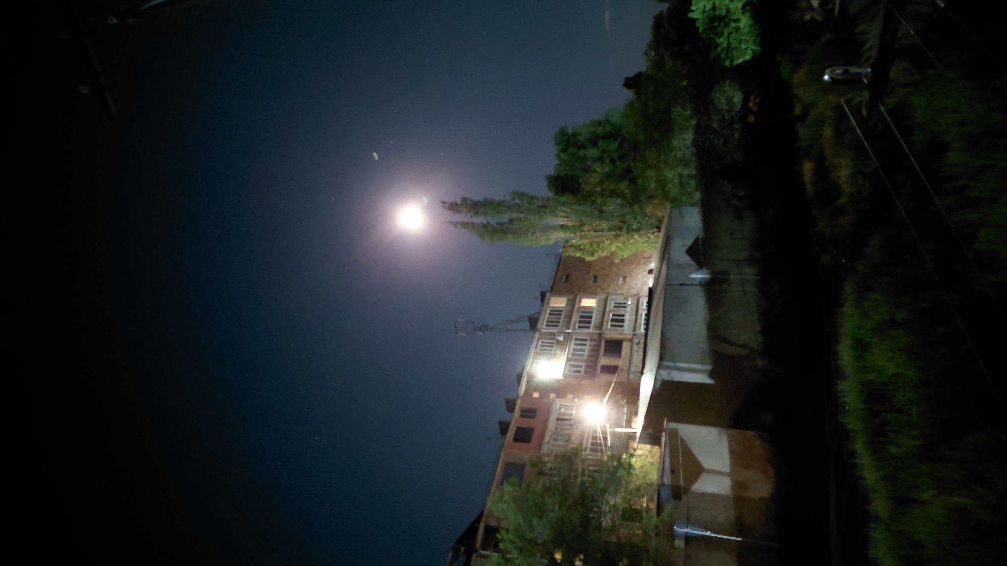 The image captures a nighttime scene in Abovyan, Armenia, illuminated by a bright full moon. In the background, a multi-story apartment building with visible windows, some lit from within, stands under the dark sky. A prominent cell tower is visible atop the building. Tall, slender trees flank the building, with one appearing particularly prominent due to the moonlight. In the foreground, the scene transitions to a dimly lit area with overgrown grass and what appear to be electrical wires or power lines, suggesting a less developed or more natural area within the city limits. The overall impression is one of a residential area at night, with natural elements integrated into the urban landscape.