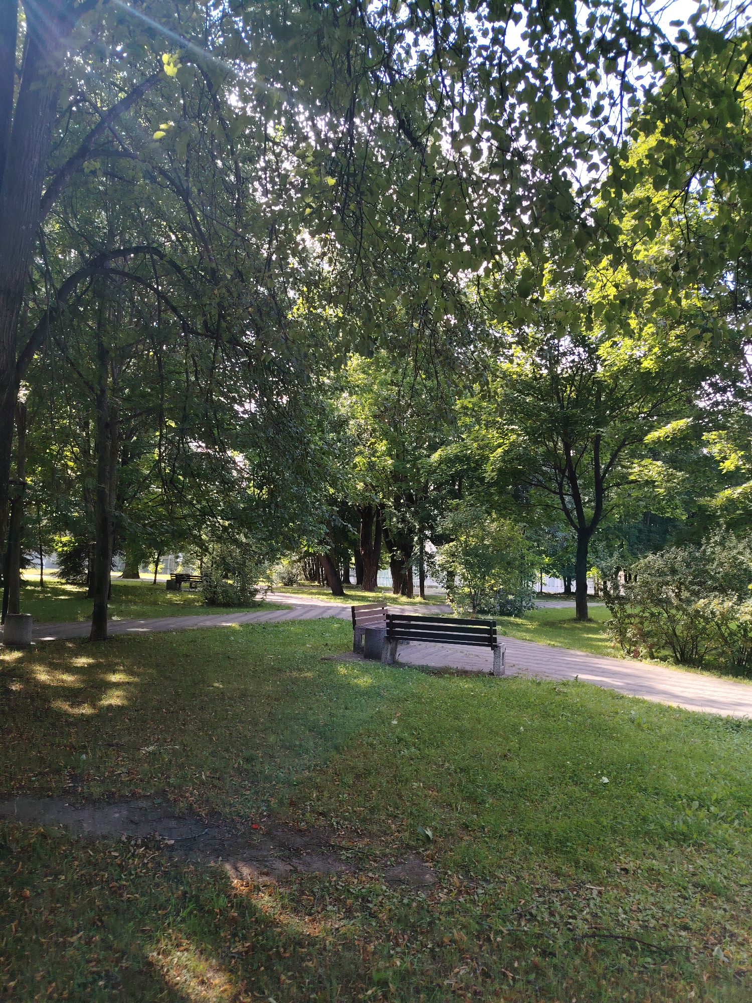 The image depicts a park scene in Zelenograd, Russia, bathed in dappled sunlight filtering through a canopy of lush green trees. A paved pathway winds through the park, bordered by manicured grass areas dotted with fallen leaves. Two park benches are visible, one in the mid-ground with a dark wooden seat and stone supports, and another further back, partially obscured by foliage. The overall atmosphere is serene and tranquil, suggesting a pleasant day for outdoor recreation. The trees are mature, with thick trunks and branches, and their leaves form a dense cover overhead. Sunlight creates distinct patterns of light and shadow on the ground and pathway. The environment appears well-maintained, typical of a city park. No people are present in the image.