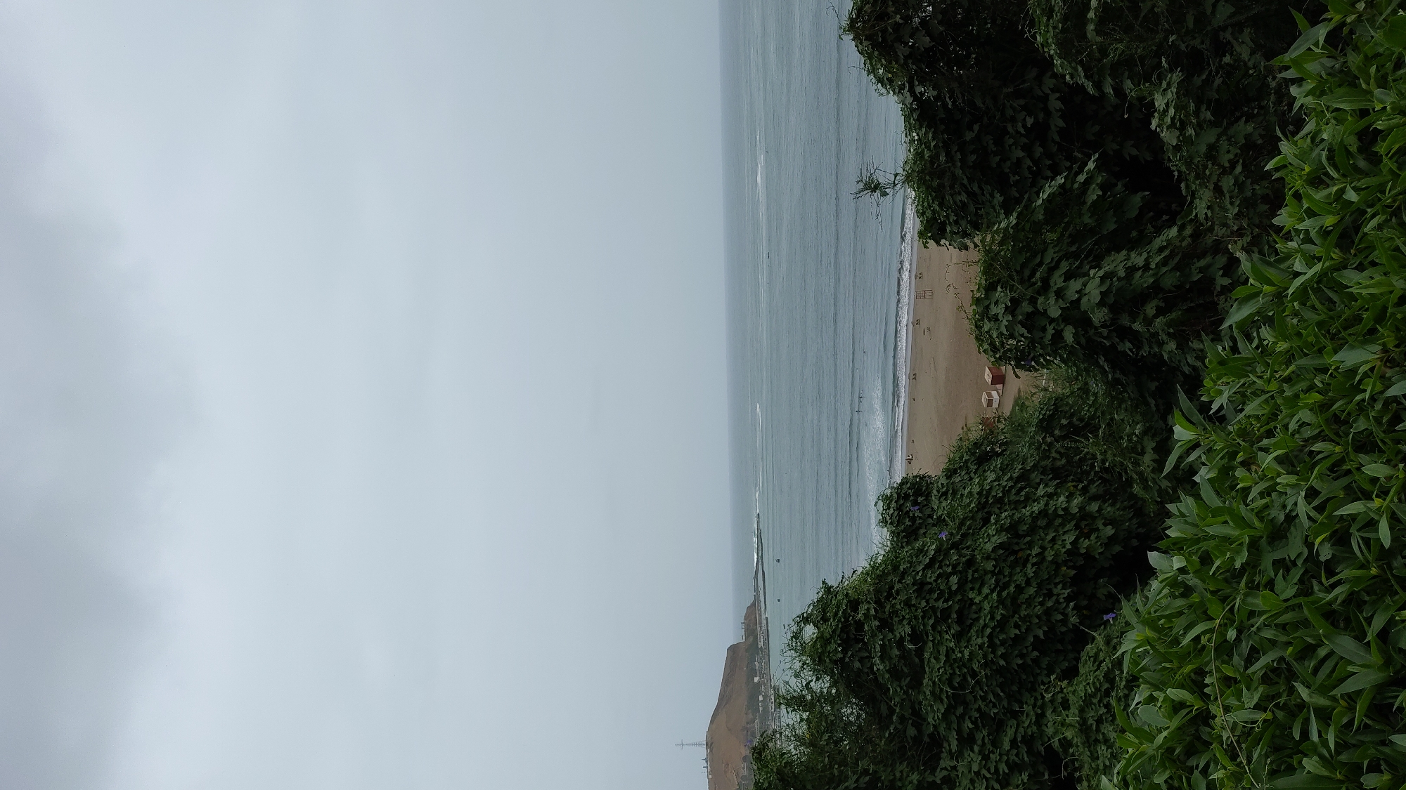 This image captures a view of the Pacific Ocean from a vegetated cliffside in Chorrillos, Peru, likely during an overcast day. In the foreground, lush green foliage, dense with vines and broader leaves, dominates the lower portion of the frame, partially obscuring the scene beyond.
As the eye moves to the midground, a sandy beach stretches along the coastline, dotted with a few scattered beach chairs and two small, red-roofed structures. Several small figures are visible on the beach and in the water, suggesting recreational activity such as swimming or surfing. The waves are moderate, creating a textured surface on the sea.
In the background, the ocean extends to the horizon, merging with a hazy, light gray sky. To the left, a prominent hill rises from the coastline, characterized by a barren, earthy surface and topped with what appears to be a transmission tower. Some man-made structures are visible along the base of the hill, indicating a developed area. The overall impression is a coastal landscape with a mix of natural and urban elements, under a muted, cloudy sky.