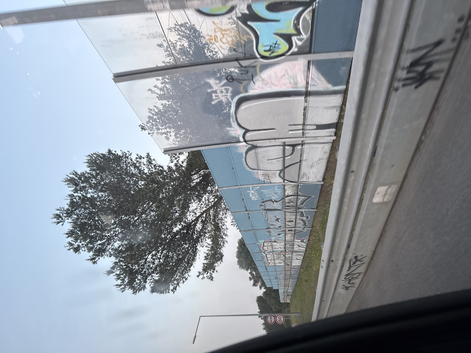 The image depicts a road with a sound barrier wall to the side. The wall is constructed of panels with a blue tint and is covered in graffiti. A tree stands adjacent to the wall, its foliage reflected in the panels. A metal guardrail runs along the edge of the road, also bearing graffiti. A lamppost and road signs are visible in the distance. The sky is overcast. The location is Unknown, Unknown.