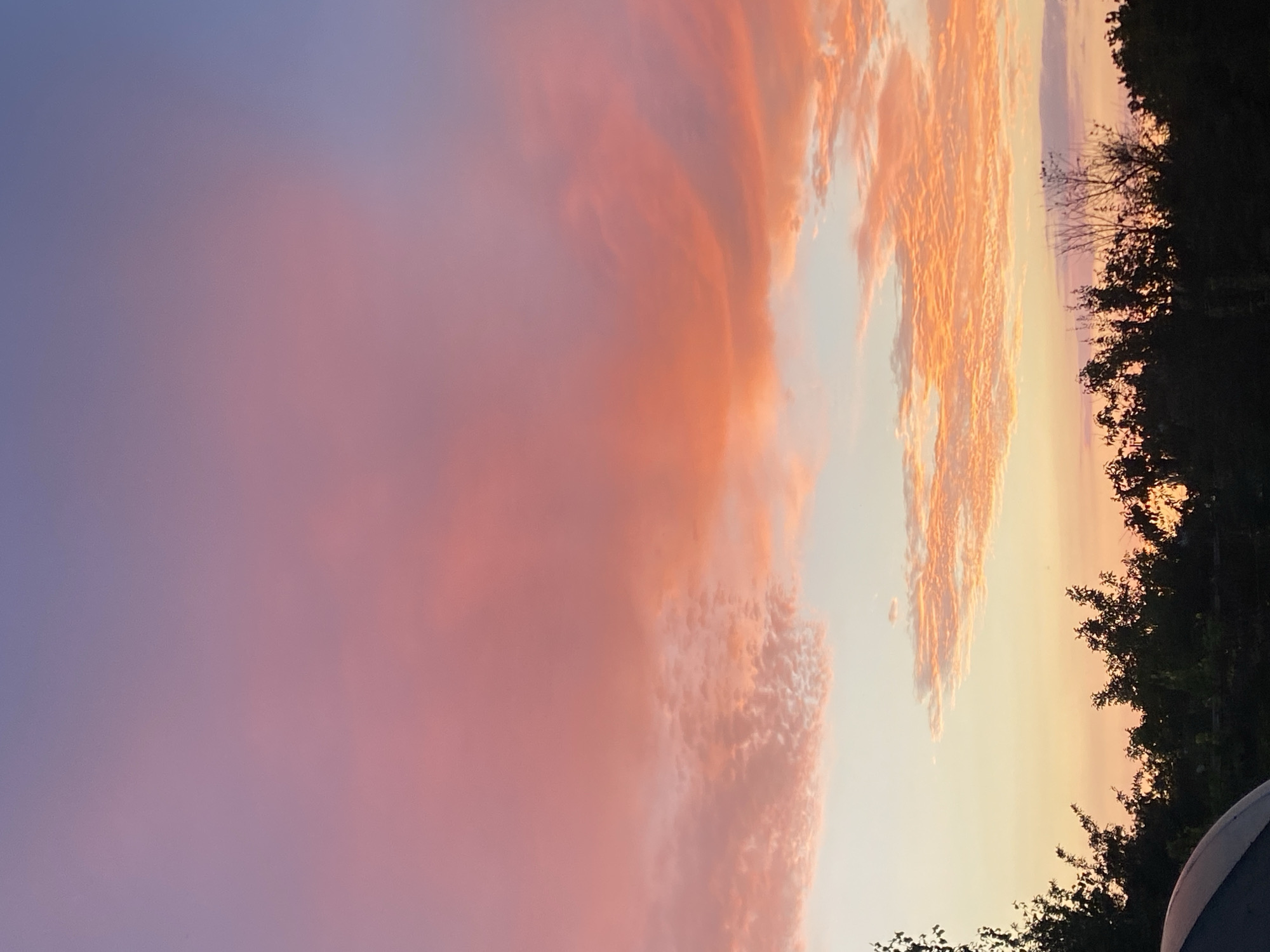 The image depicts a sunset sky with vibrant hues of pink, orange, and purple, transitioning into a soft blue at the top. Wispy clouds are scattered across the sky, catching the light and adding texture to the scene. The lower portion of the image shows a silhouette of dark trees and foliage against the colorful sky, suggesting an outdoor setting, possibly in the outskirts of Kushchovskaya, Russia. The composition is dominated by the expansive sky, with the earthly elements forming a dark border at the bottom. There are no people or animals visible in the image.