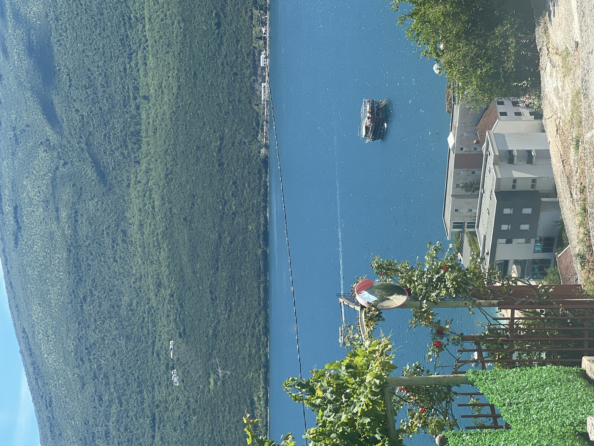 The image captures a scenic view of the Bay of Kotor in Igalo, Montenegro. In the foreground, a vibrant green hedge is partially visible on the left, adjacent to a rusty metal fence. A rose bush with red blooms and green leaves is growing along the fence. A traffic mirror on a pole is positioned near the rose bush, reflecting a section of the road and surrounding greenery.
Dominating the mid-ground is the deep blue expanse of the bay, dotted with a few boats. One notable vessel, a larger tour boat with multiple decks and people on board, sails across the water. In the background, a steep, heavily forested mountain slopes down to meet the bay. Several modern buildings, likely residential or hotel accommodations, are situated at the base of the mountain, overlooking the water. The sky above is clear and blue, suggesting a sunny day.