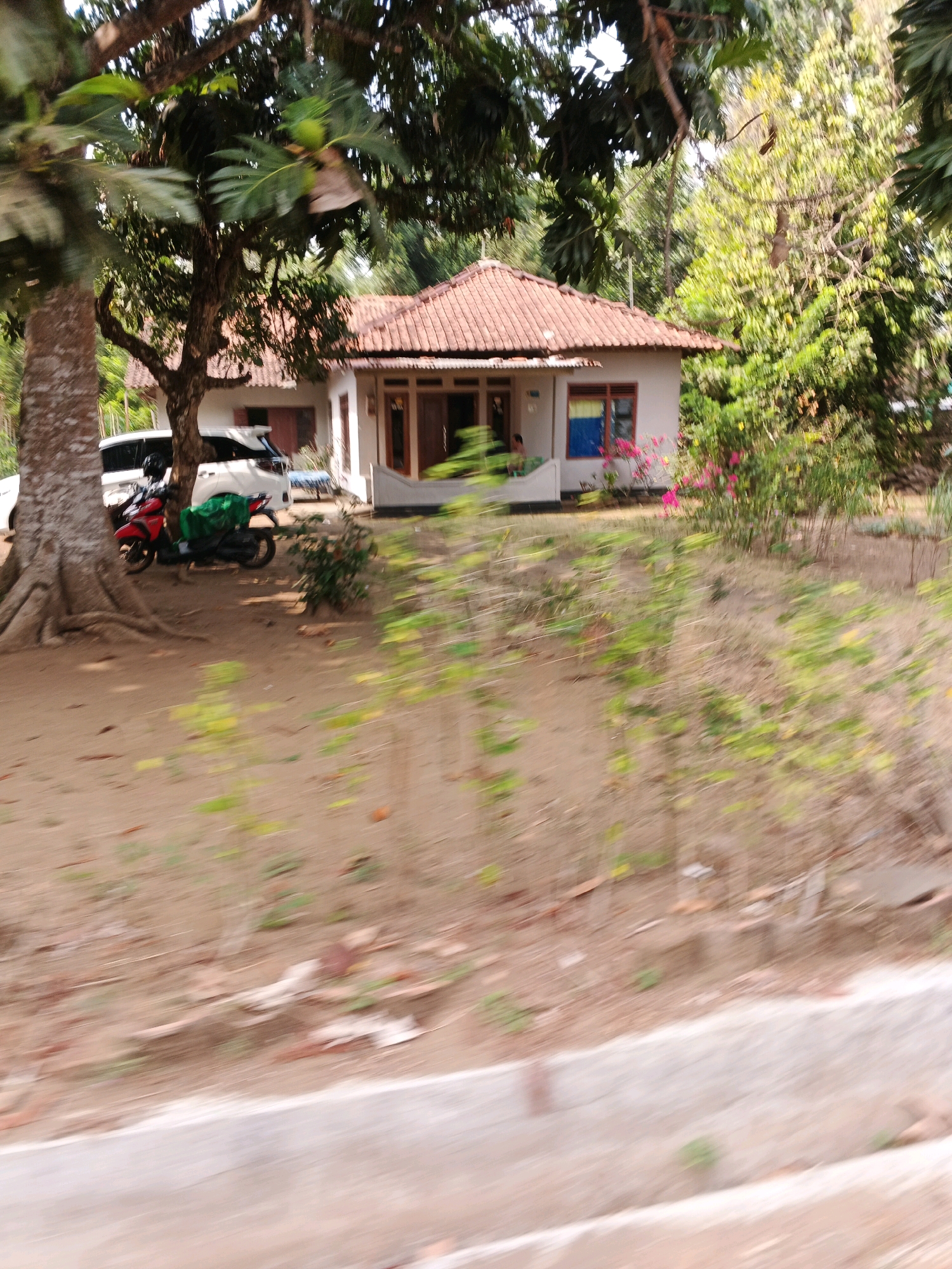 In the city of Jangrana, Indonesia, a single-story house with a terracotta-tiled roof is visible, surrounded by lush greenery. The house features white walls and wooden doors and windows. In front of the house, a red motorcycle with a green tarp is parked next to a white car. The ground in front of the house is dirt with scattered dry leaves and small plants. The scene appears to be a residential area in a tropical or subtropical climate, with large trees providing shade. The image has a slight blur, suggesting it may have been taken while in motion.