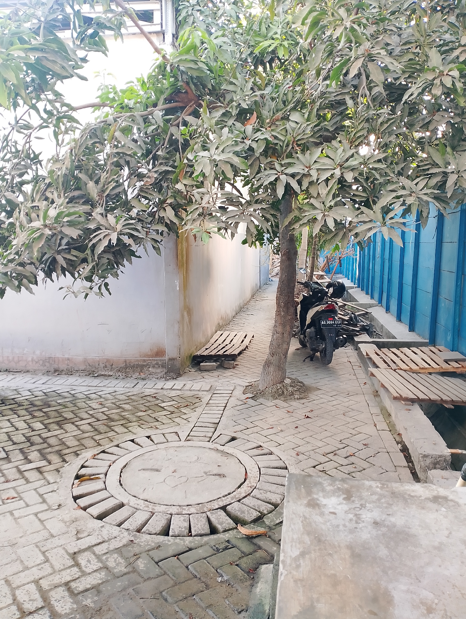 The image depicts a narrow outdoor alleyway in Jambean, Indonesia, characterized by paved brick flooring and a large tree dominating the left side of the frame. The tree, with its dense foliage, casts shadows over the walkway. To the right of the tree, a motorcycle is parked. The alley is bordered by a light-colored wall on the left and a vibrant blue fence on the right. Several wooden pallets are placed along the wall and the fence, possibly for seating or storage. In the foreground, a circular concrete manhole cover with decorative brickwork surrounds it is visible on the paved ground. Fallen leaves are scattered on the ground and on the manhole cover, suggesting an outdoor environment. The lighting suggests it is daytime, with natural light illuminating the scene.