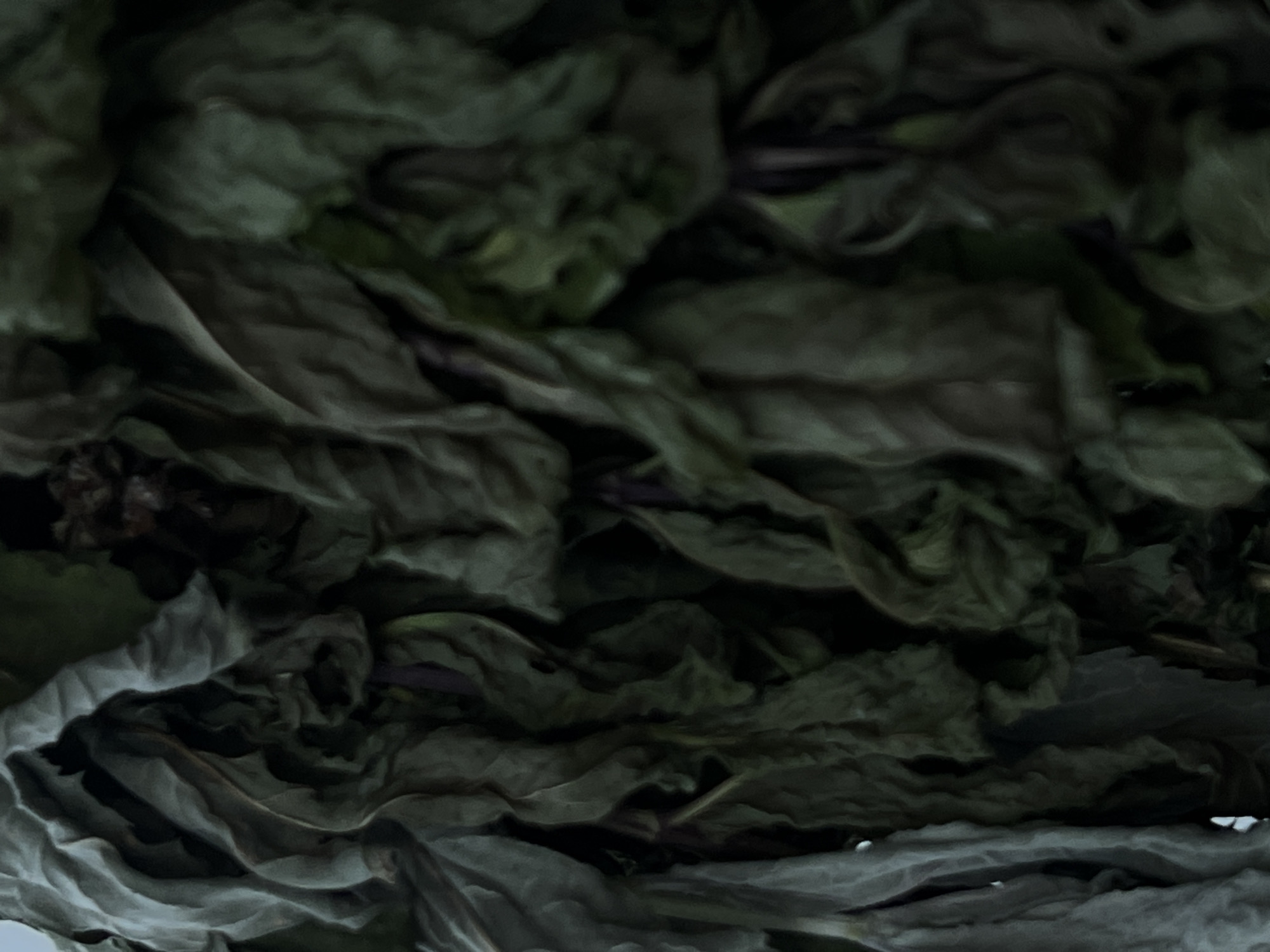 The image shows a close-up, abstract view of dried herbs. The herbs are predominantly dark green and muted grey, with a wrinkled and desiccated texture. The lighting is dim, casting deep shadows and highlighting the textures of the leaves. There are no discernible people, animals, or specific landmarks visible. The image is an abstract composition of dried plant matter. Without further information or context, it is not possible to determine its location in Chaikovsky, Russia, or any other specific place.