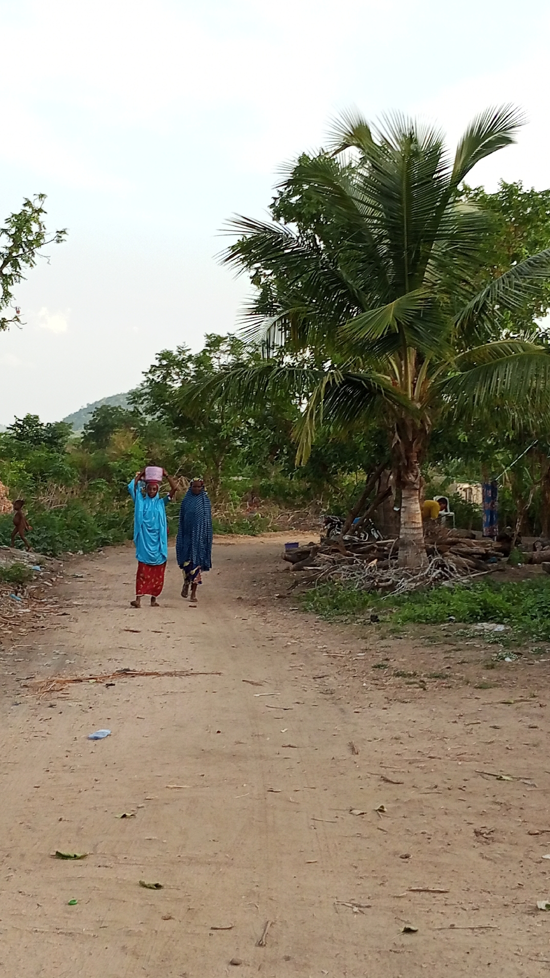 Two women walk on a dirt road in Adankolo, Nigeria. One woman wears a blue dress and red skirt and carries a pink bucket on her head. The other woman wears a blue patterned shawl. To the right of the road is a palm tree and a pile of logs and branches, with a motorcycle parked nearby. Several people are visible in the background, along with trees and a small mountain. A child stands to the left of the road.
