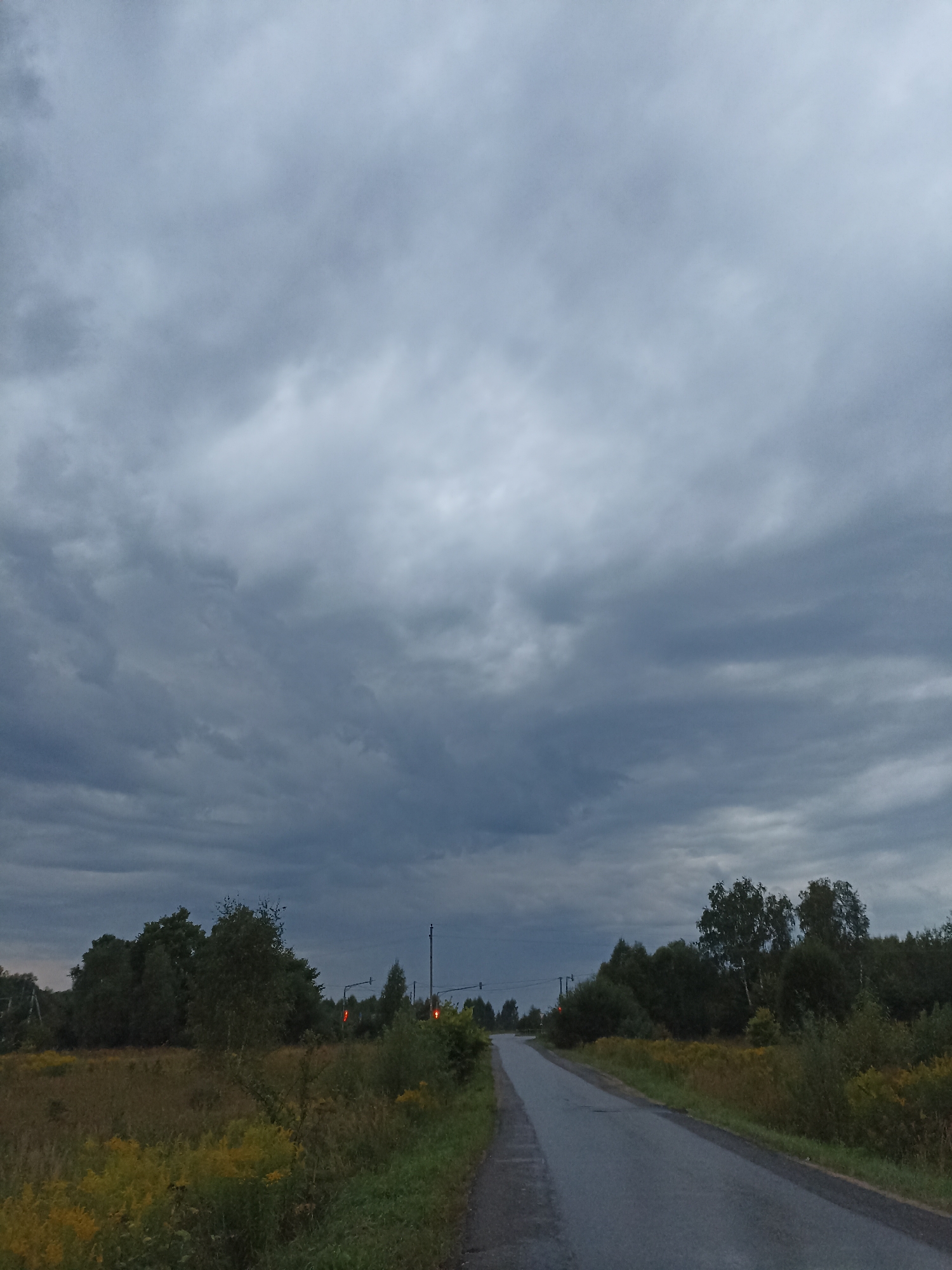 The image depicts an overcast sky over a rural landscape. A paved road curves into the distance, bordered by fields of tall grass and scattered yellow wildflowers. Dense trees and foliage line the right side of the road, with some appearing to be birch and pine. In the distance, two traffic signals are visible, both showing red lights. The overall impression is one of a somber, possibly pre-storm, atmosphere. The scene is devoid of people or any visible human activity. The location is stated to be in Ryzhikovo, Russia.