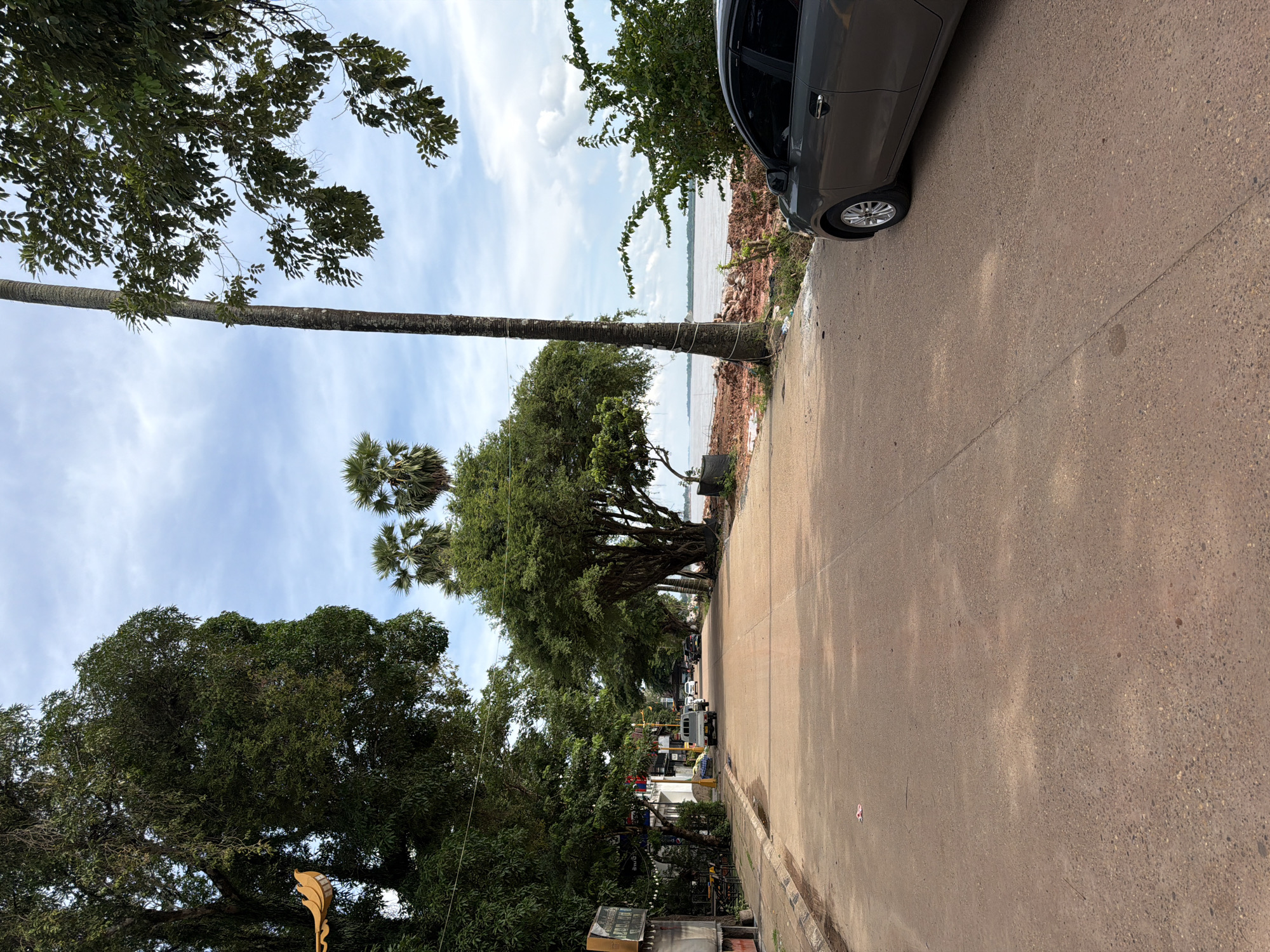 The image depicts a street scene in Thakhek, Laos, with a focus on a road lined by trees and adjacent to a river. The road is paved with a reddish-brown material and is mostly empty except for a few parked and moving vehicles. On the left side of the road, there are buildings with awnings and some outdoor seating, suggesting commercial establishments. A large tree with dense foliage dominates the left foreground, partially obscuring a yellow decorative item hanging from its branches.
On the right side of the road, a gray sedan is parked. Beyond the road, a river is visible, with its banks appearing to be undergoing some form of construction or soil disturbance, indicated by piles of reddish earth. Palm trees and other lush greenery are scattered throughout the scene, contributing to a tropical atmosphere. The sky is partly cloudy, with patches of blue sky visible between the clouds. The overall impression is one of a quiet, somewhat unkempt, but picturesque riverside town.