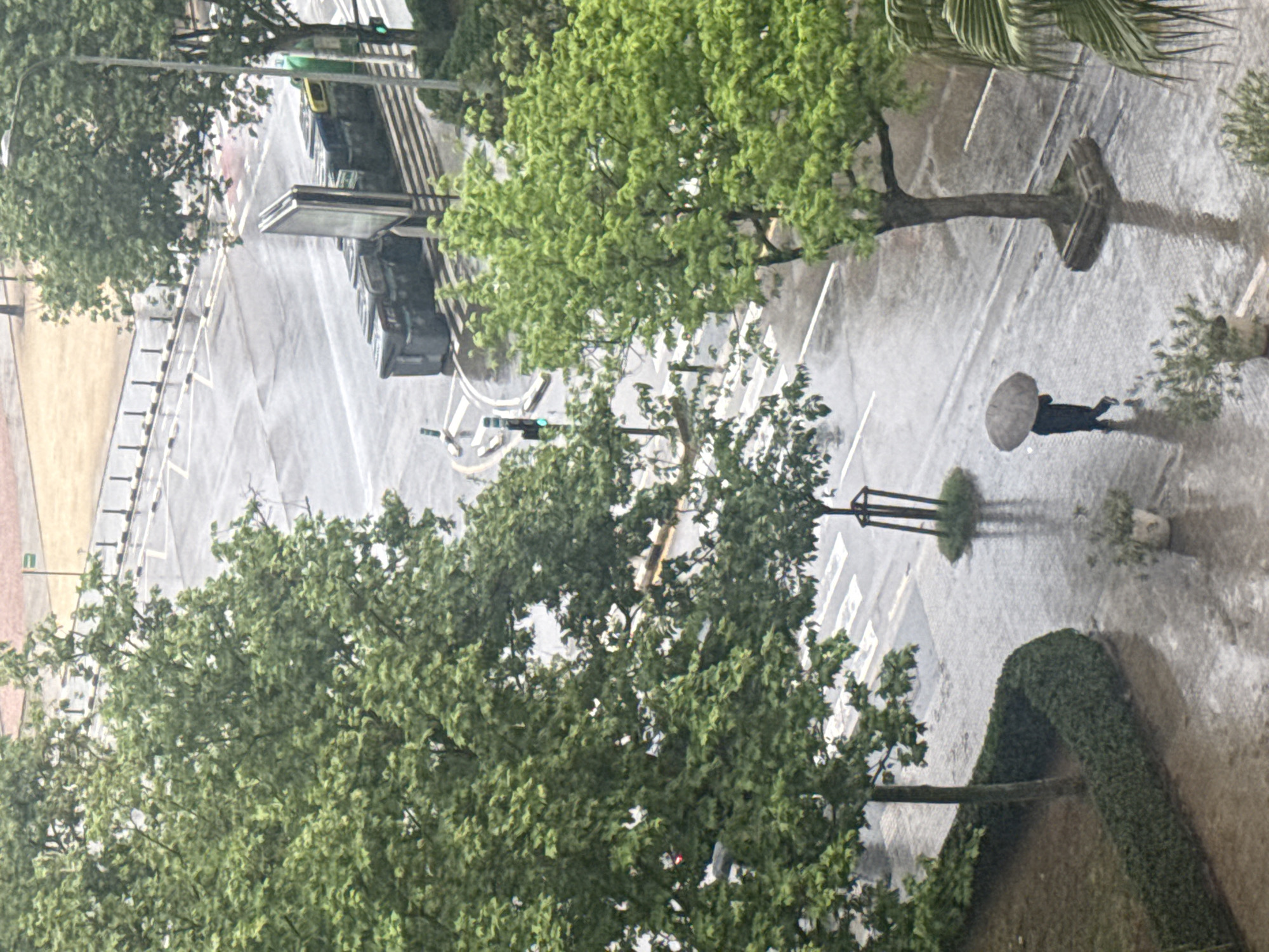 The image depicts a city street scene during a rainstorm. The view is taken from an elevated position, looking down on the street. Wet asphalt surfaces are visible, reflecting light and indicating heavy rainfall. Trees with lush green foliage line the street, partially obscuring the view of the road. A person is walking on the sidewalk with an umbrella, shielding themselves from the rain. A bus stop is present on one side of the road. The location appears to be an urban environment.