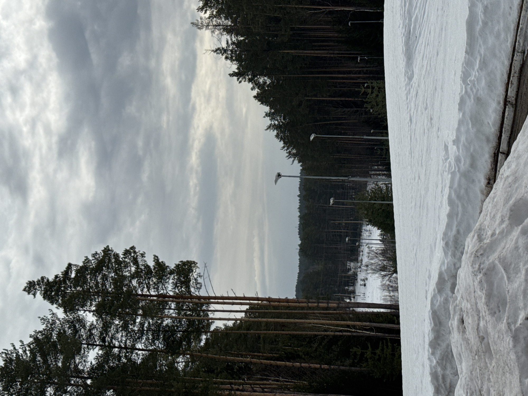 The image depicts a winter scene in what appears to be a wooded area. The sky is overcast with grey and white clouds. Tall pine trees line both sides of the frame, creating a narrow, linear view. Along the right side, there is a large snowdrift, possibly accumulated against a barrier or structure. Street lamps are visible among the trees in the distance. Based on the location information provided, it's reasonable to assume this is a park or forested area within or near Прикамский, Russia. There are no people visible in the image. The primary subjects are the trees, snow, and sky.