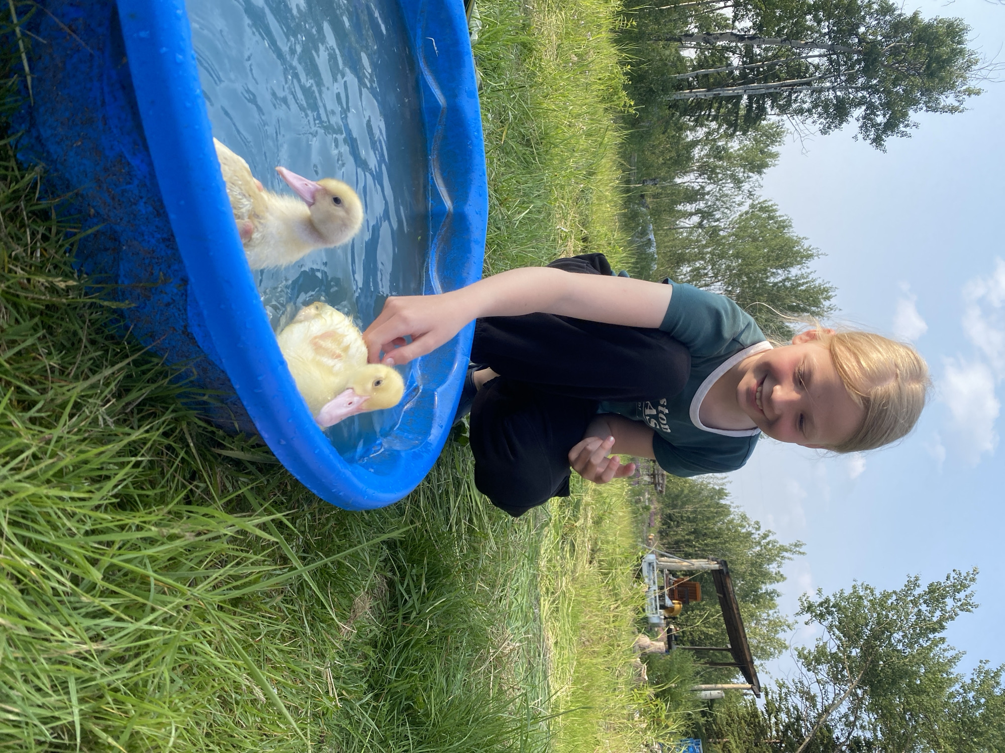 A young girl with blonde hair and a green t-shirt is kneeling next to a blue kiddie pool filled with water and two yellow ducklings. The girl is smiling and reaching her hand into the pool towards the ducklings. The scene is outdoors, with green grass surrounding the pool and trees in the background. The sky is partly cloudy and appears to be a clear day. The image was likely taken in the daytime, given the bright lighting. The overall atmosphere is playful and happy, with the girl enjoying interacting with the ducklings. There is some text visible on the girl's t-shirt, but it is partially obscured and difficult to read. The scene suggests a rural or backyard setting, possibly in a location like Haines Junction, Canada, given the vegetation and clear sky.