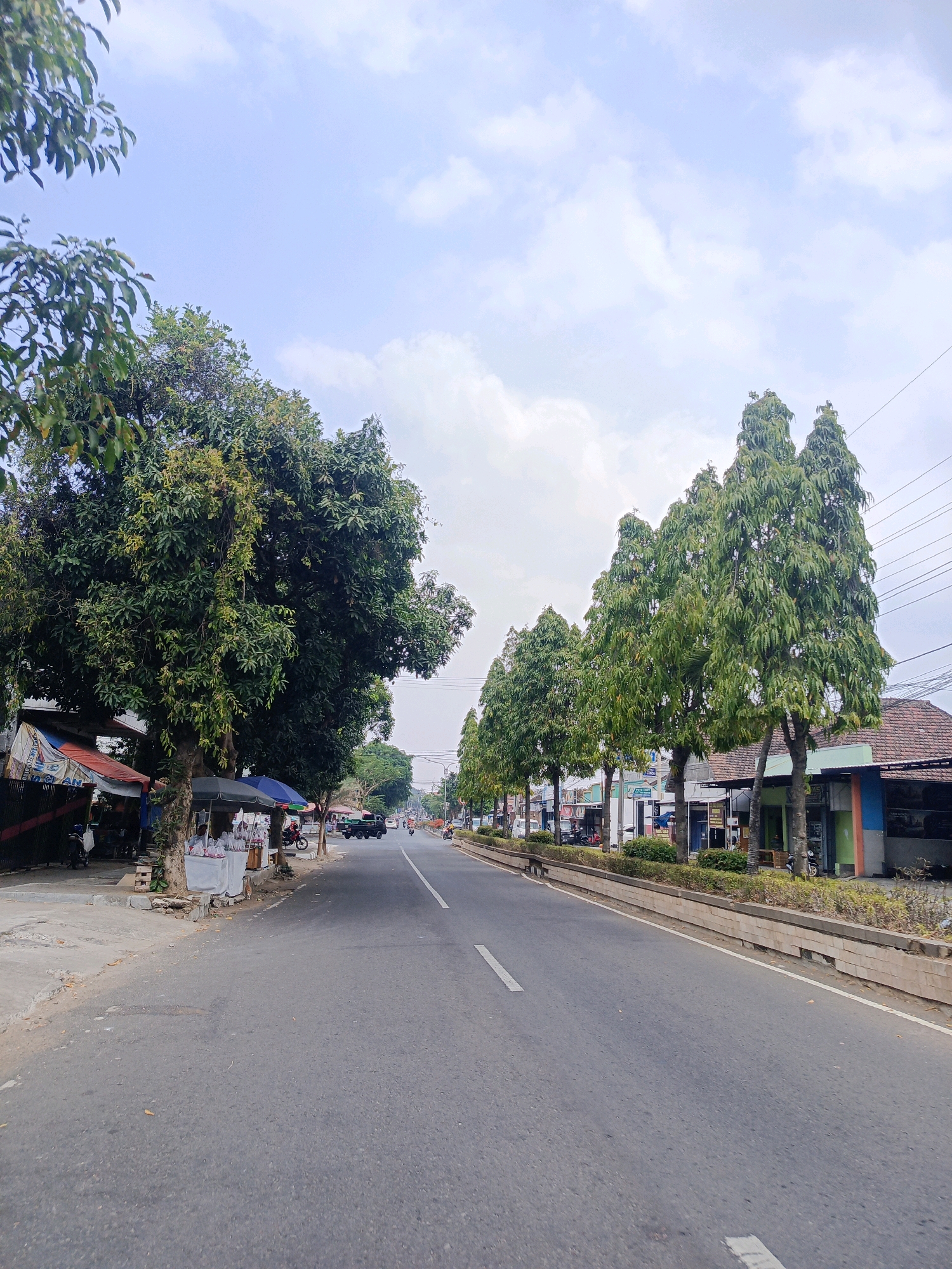 The image depicts a street scene in Sukowinangun, Indonesia, under a partly cloudy sky. The road is paved with asphalt and features a white dashed line marking the lane division. On the left side of the road, there are several trees, some with broad canopies, and small stalls with awnings, where a few motorcycles are parked. A large, leafy tree dominates the foreground on the left. On the right side of the road, a row of tall, slender trees lines a raised planter bed, behind which are buildings with tiled roofs and colorful facades, indicative of shops or residences. Several people are visible on the street, including individuals near the stalls on the left and people on motorcycles further down the road. Traffic appears light, with a few vehicles including a truck and motorcycles on the road. The environment suggests a commercial or residential area within the town.