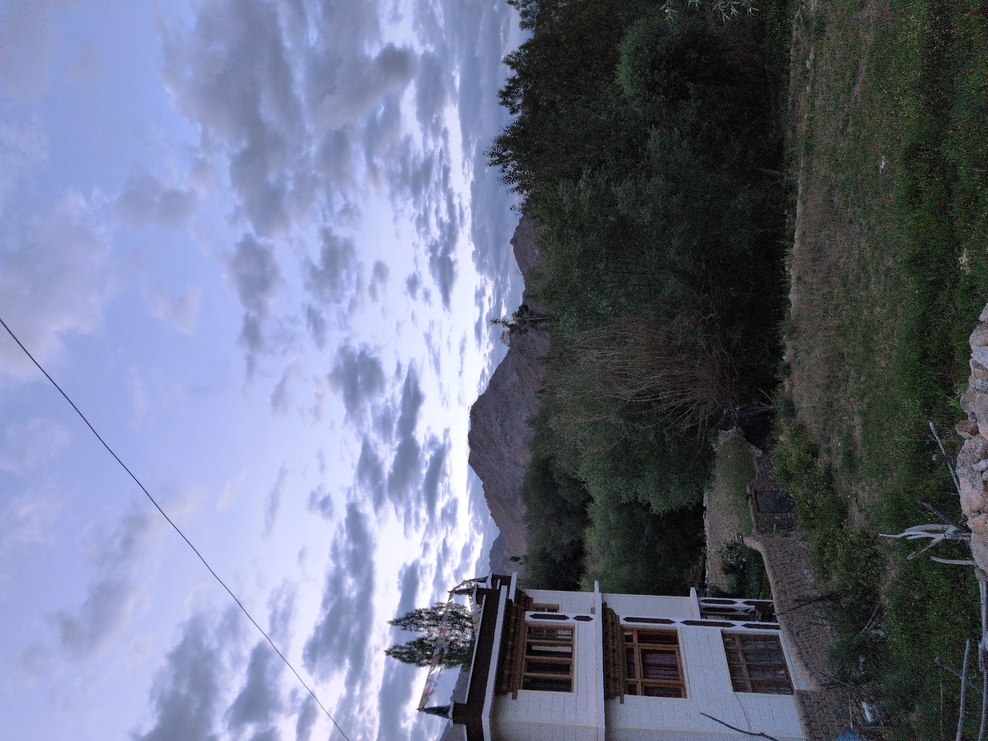The image depicts a serene twilight scene in Leh, India, with a focus on a traditional Ladakhi building and the surrounding natural landscape. The building, partially visible on the left, is white with dark brown trim and features wooden window frames and decorative elements. Prayer flags are strung across the roof. Behind the building, a dense line of trees creates a verdant backdrop, with the rugged, barren mountains of the Himalayas rising in the distance. The sky is overcast with dramatic, grey clouds, suggesting either the approach of dusk or a change in weather. The foreground consists of a grassy area with some dry vegetation and rocks. The overall atmosphere is tranquil and evokes the remote, mountainous terrain of Leh.