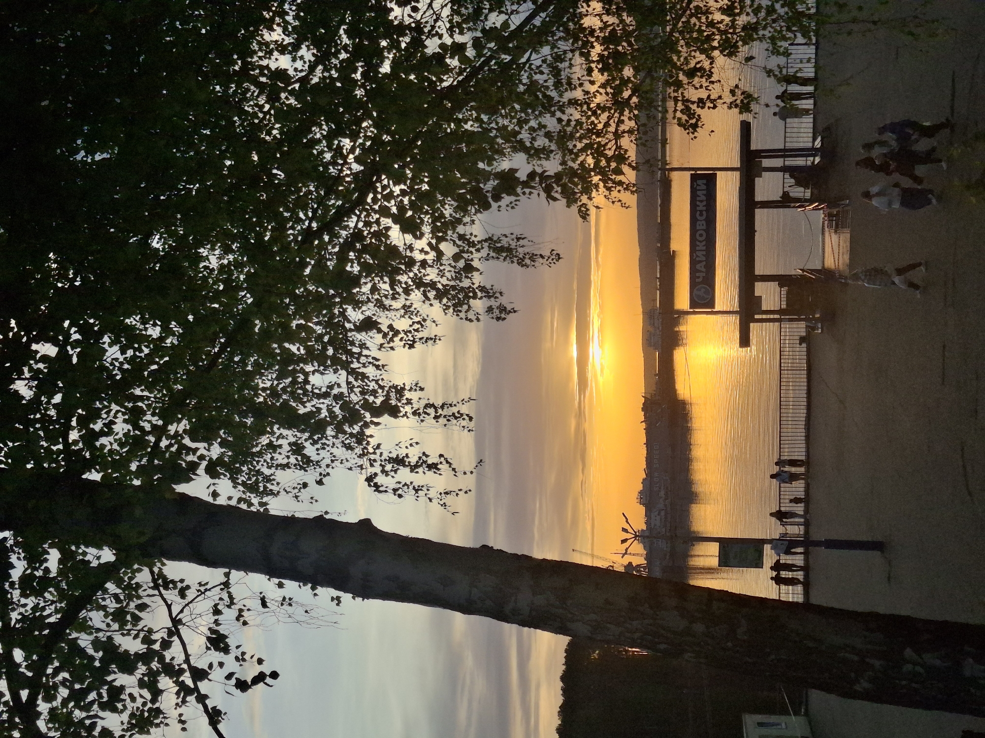 The image captures a tranquil scene in Chaikovsky, Russia, at sunset. The shot is framed by a large tree, with its trunk and branches prominently in the foreground. In the middle ground, the cityscape silhouette is reflecting in the water. The sign "Чайковский" indicates the location, and some people are walking near the embankment. The sunset colors dominate the sky, creating a warm atmosphere.